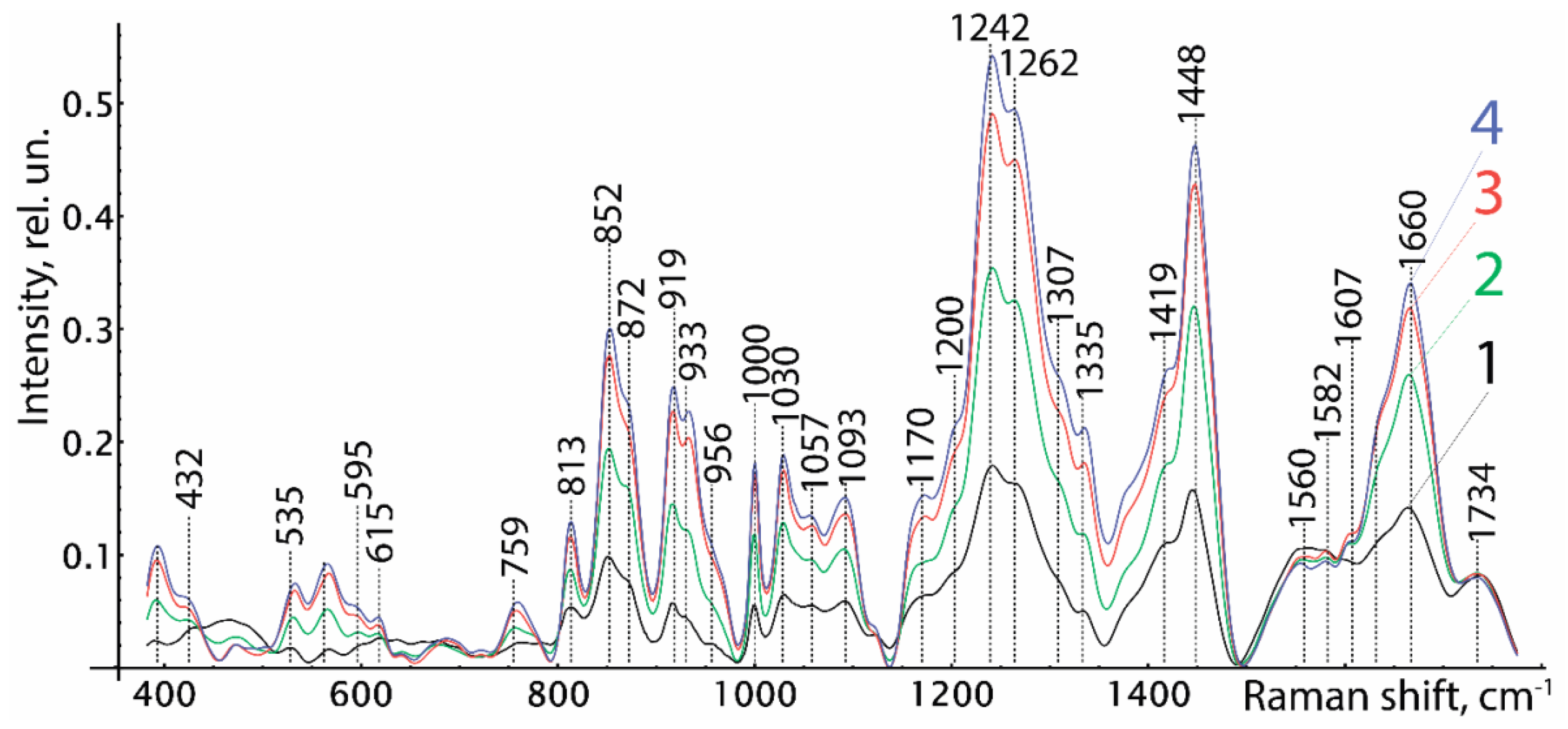 Biophysica 02 00028 g001