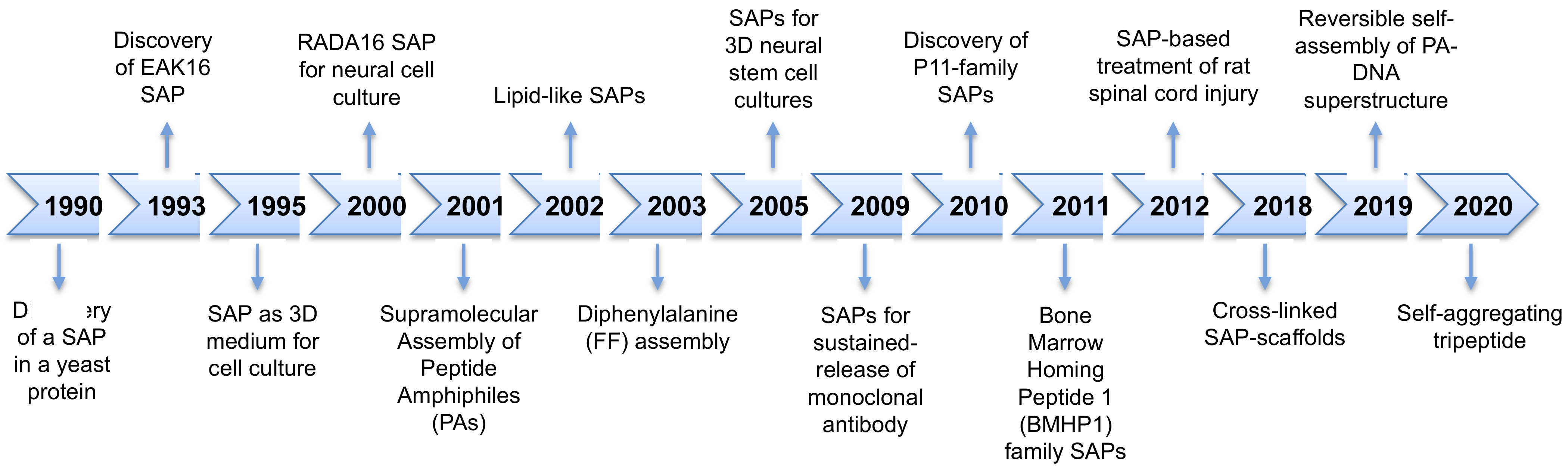 Biophysica 02 00030 g001 Biophysica 02 00030 g001