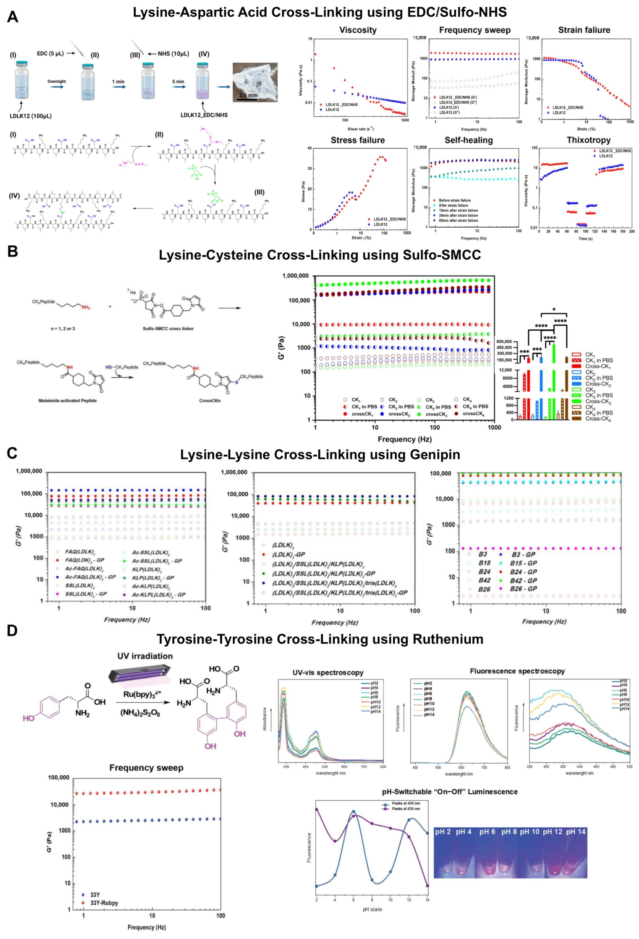 Biophysica 02 00030 g003 Biophysica 02 00030 g003