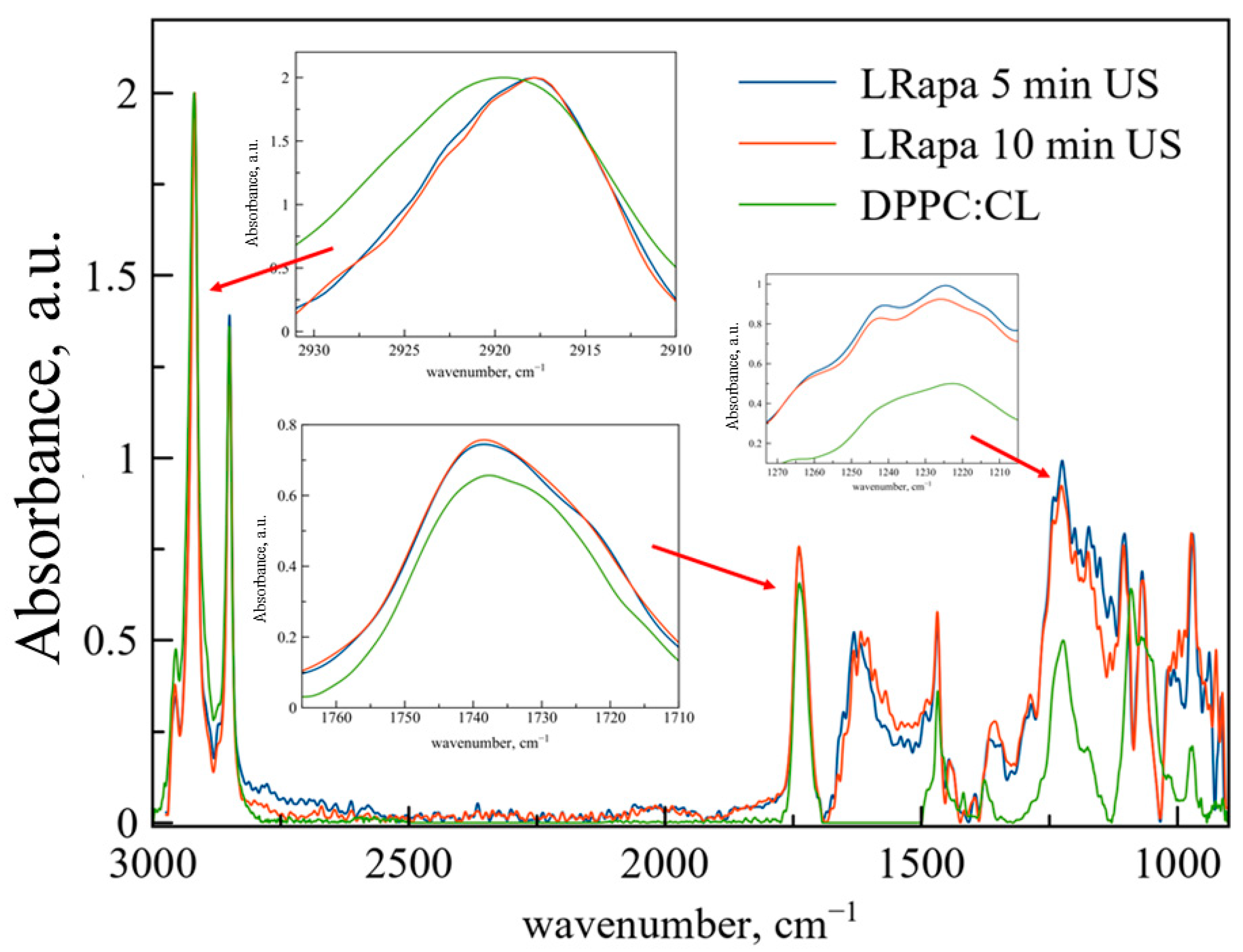 Biophysica Free FullText DrugMembrane Interaction as Revealed by