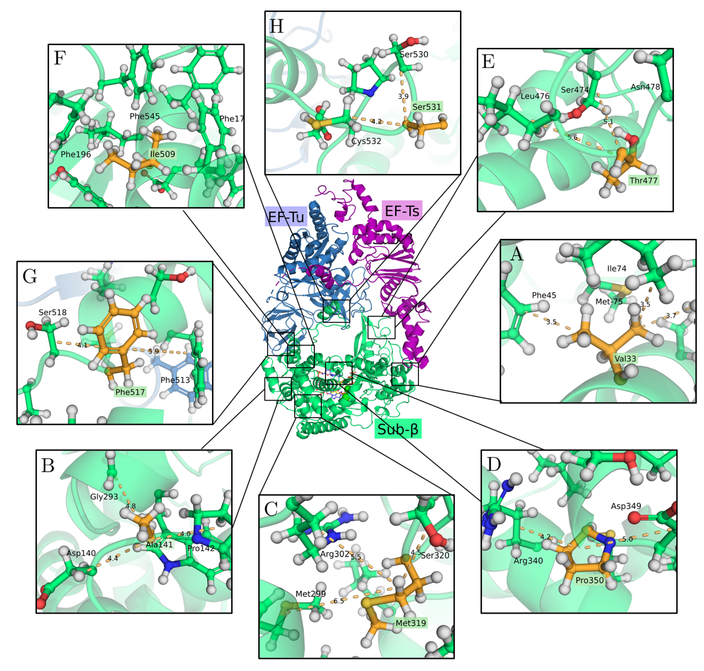 Biophysica 02 00034 g002 Biophysica 02 00034 g002