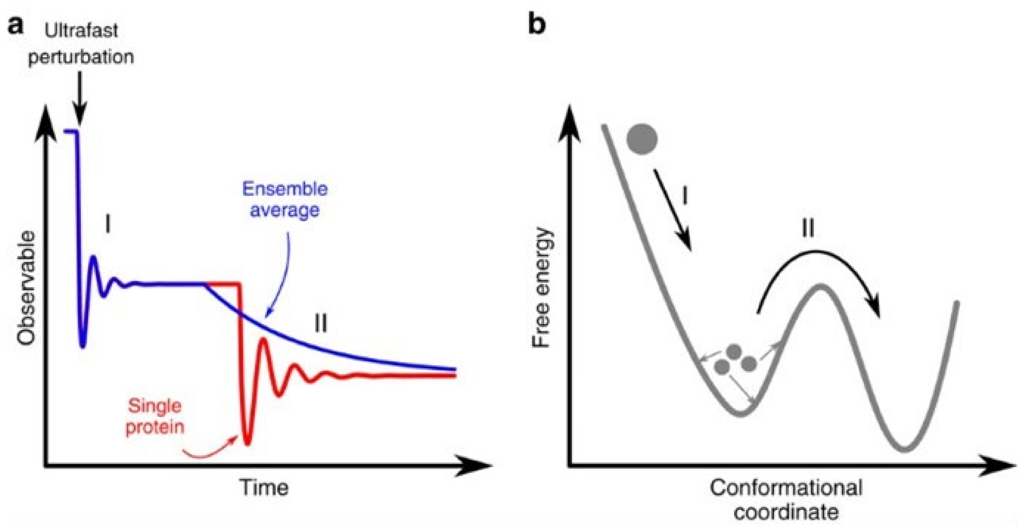 Biophysica 02 00040 g002 Biophysica 02 00040 g002