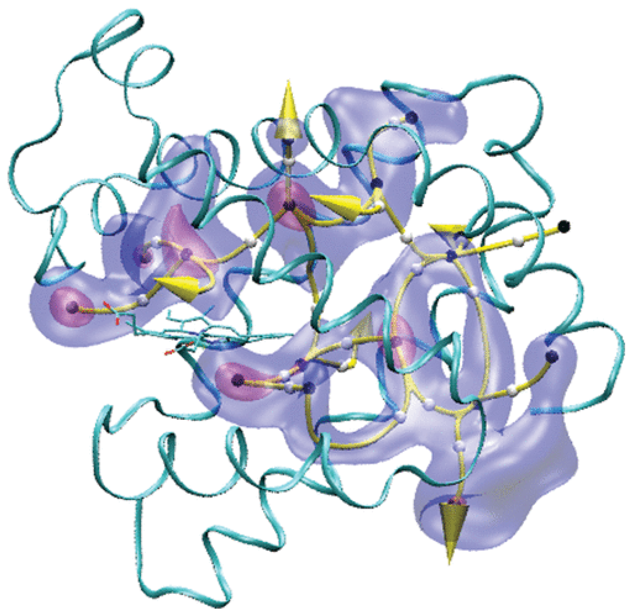Biophysica 02 00040 g003 Biophysica 02 00040 g003