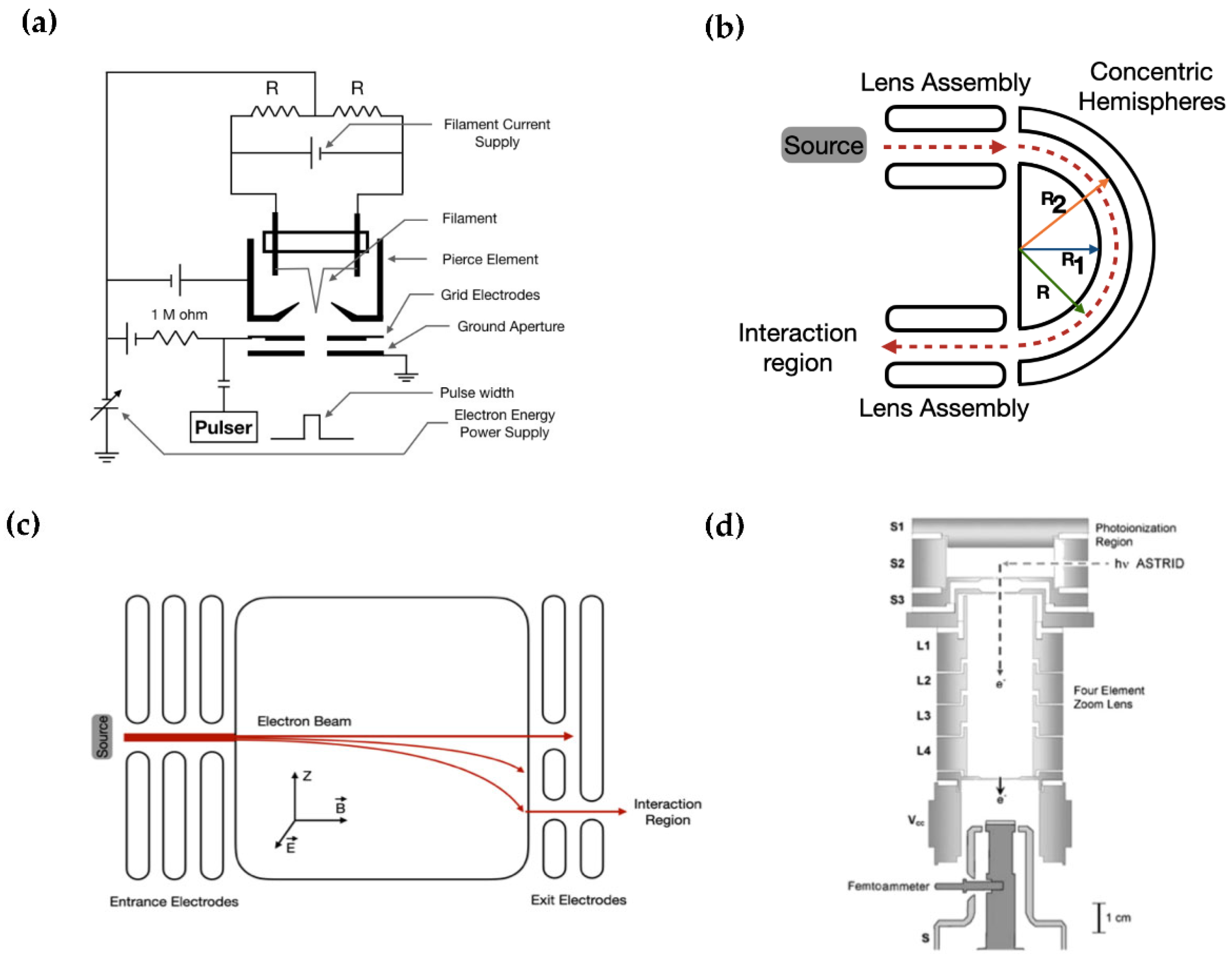 Biophysica 02 00041 g002
