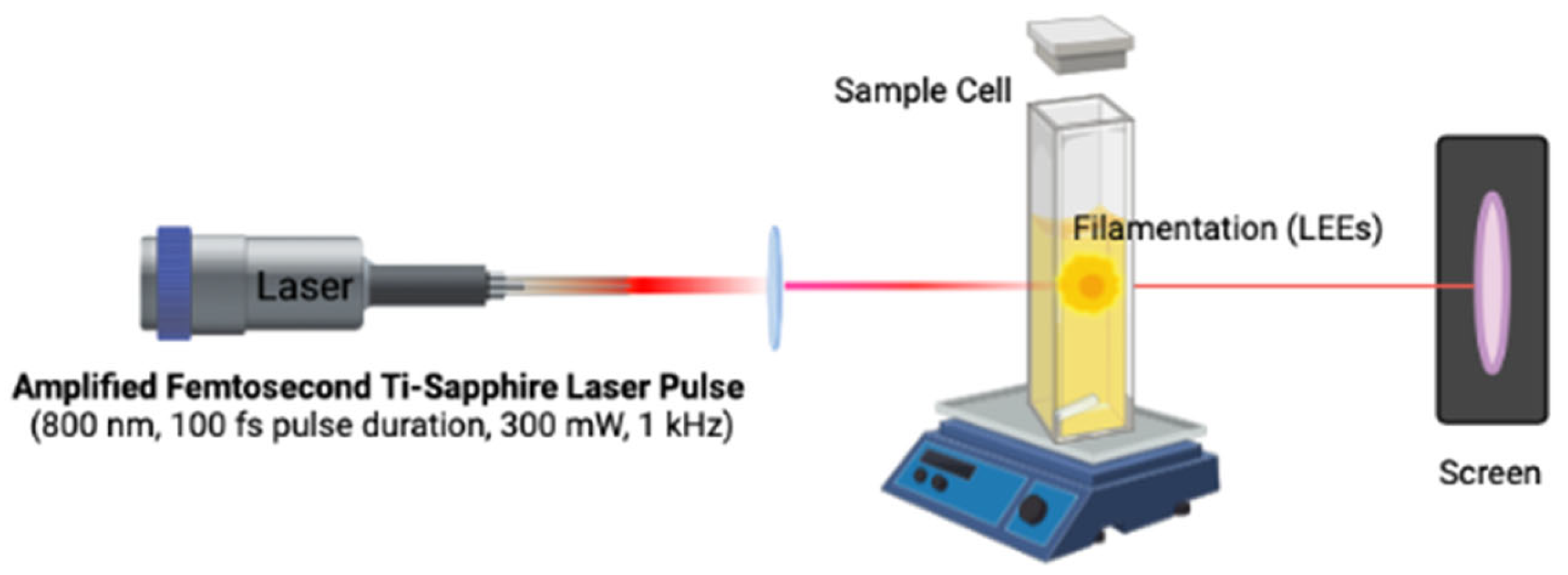 Biophysica 02 00041 g006
