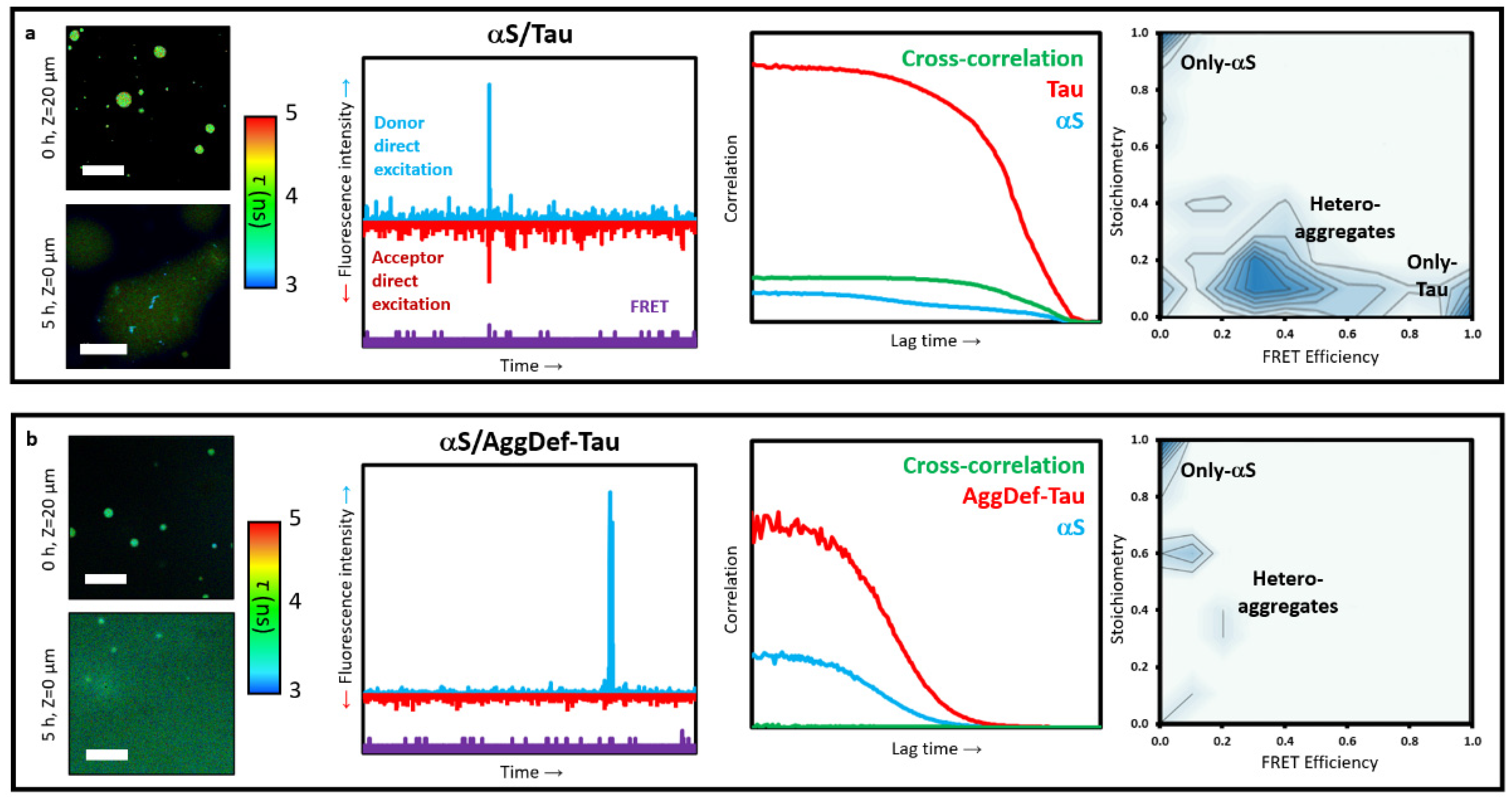 Biophysica 02 00043 g005