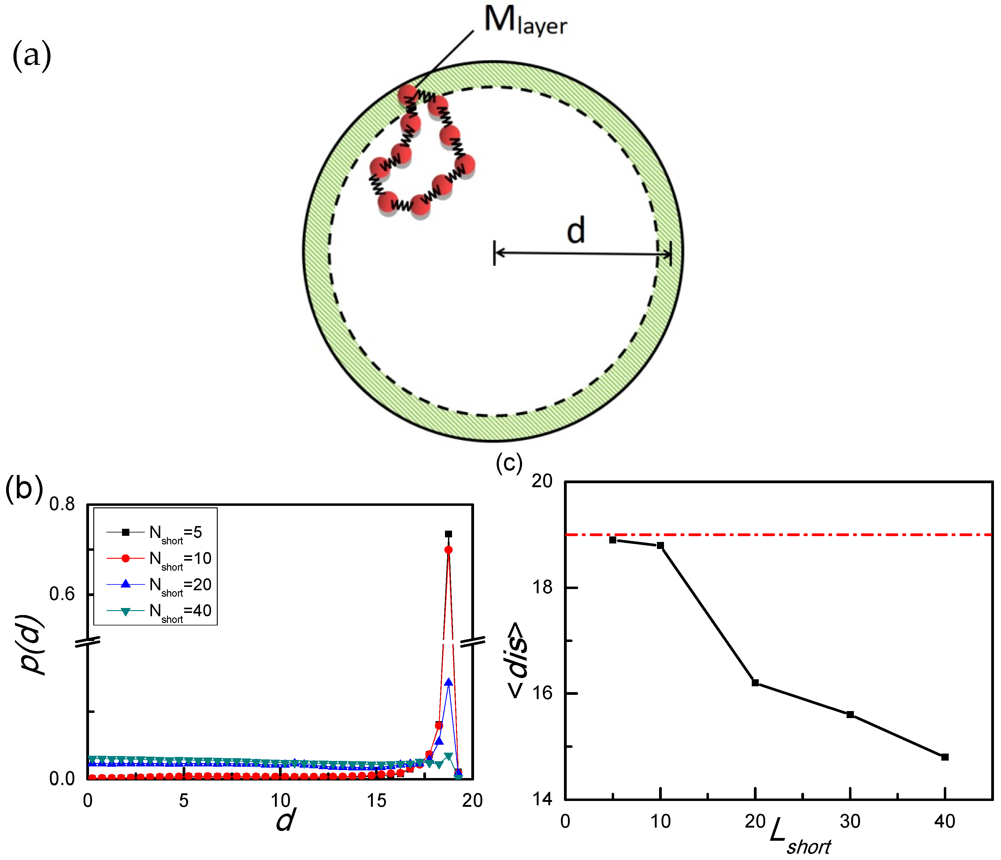 Biophysica 02 00044 g003 Biophysica 02 00044 g003