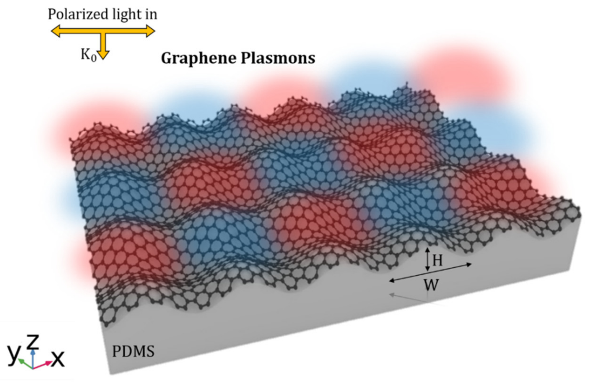 Biophysica 02 00045 g001
