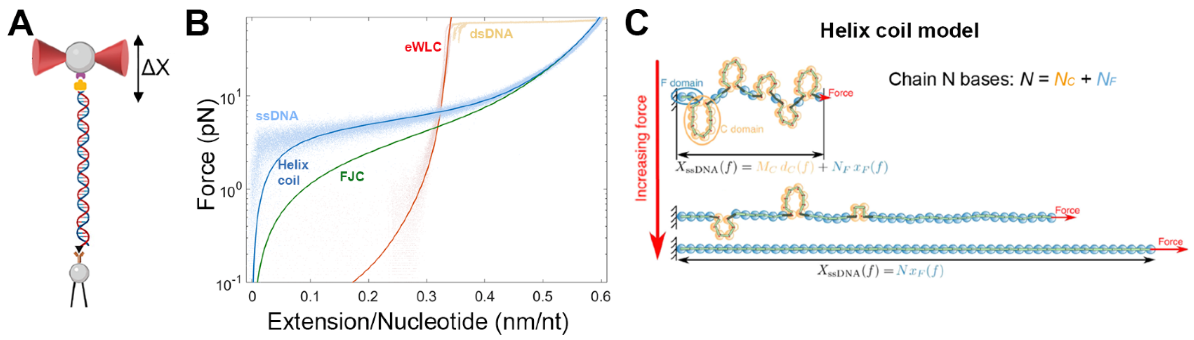 Biophysica 02 00047 g002 Biophysica 02 00047 g002