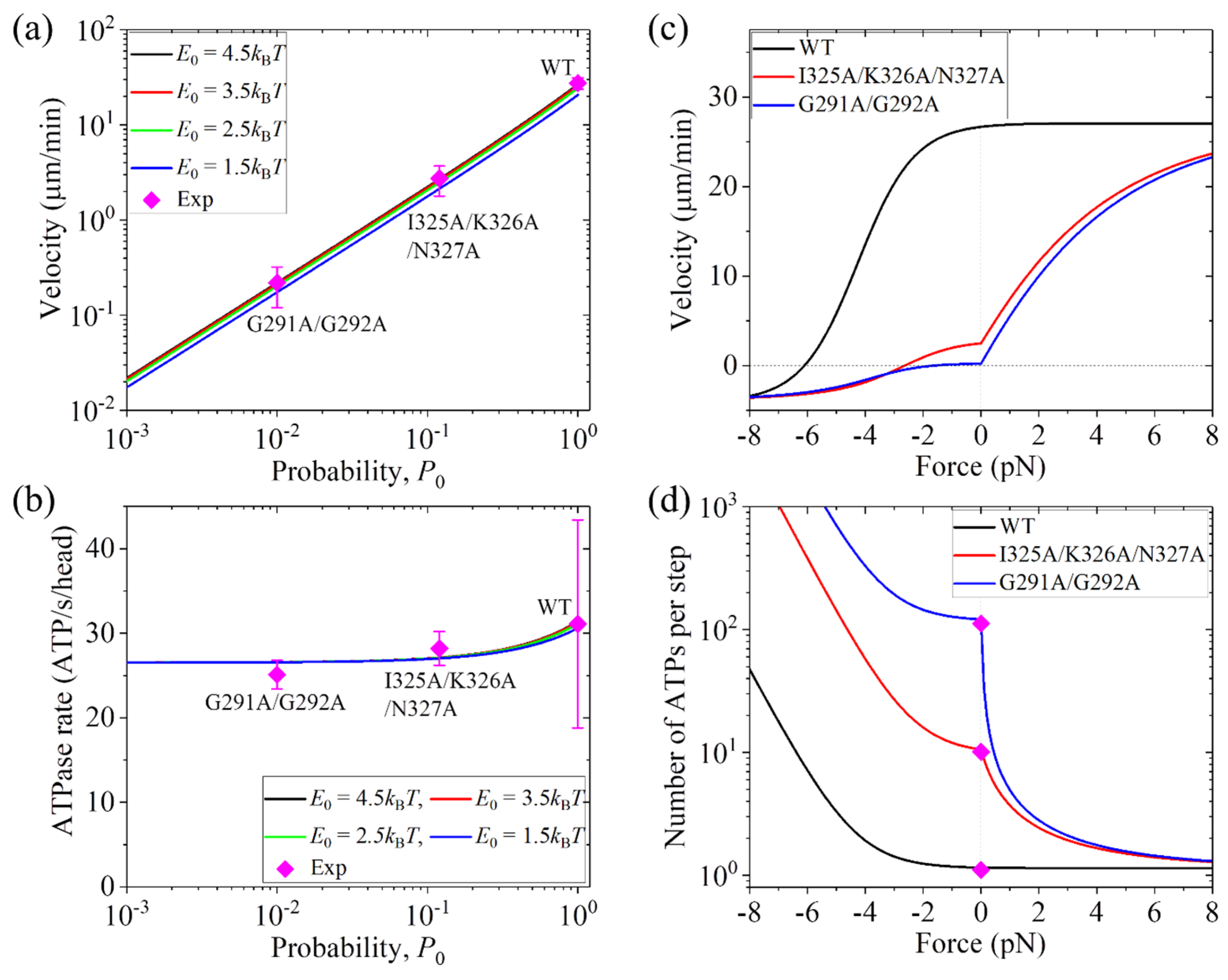 Biophysica 03 00004 g004