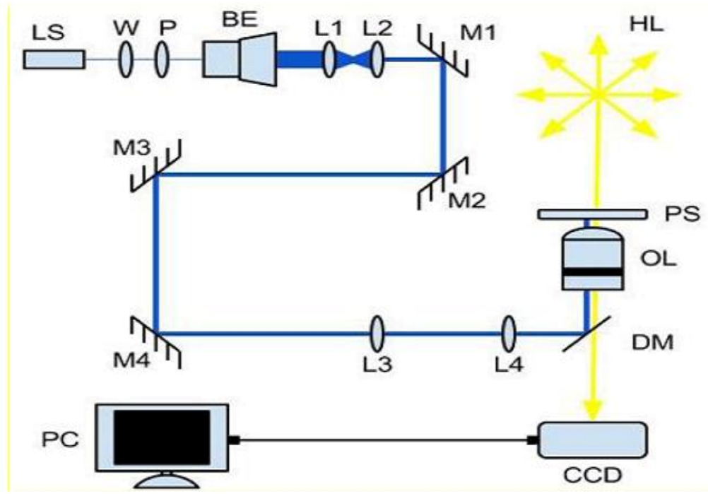 Biophysica 03 00008 g001 550