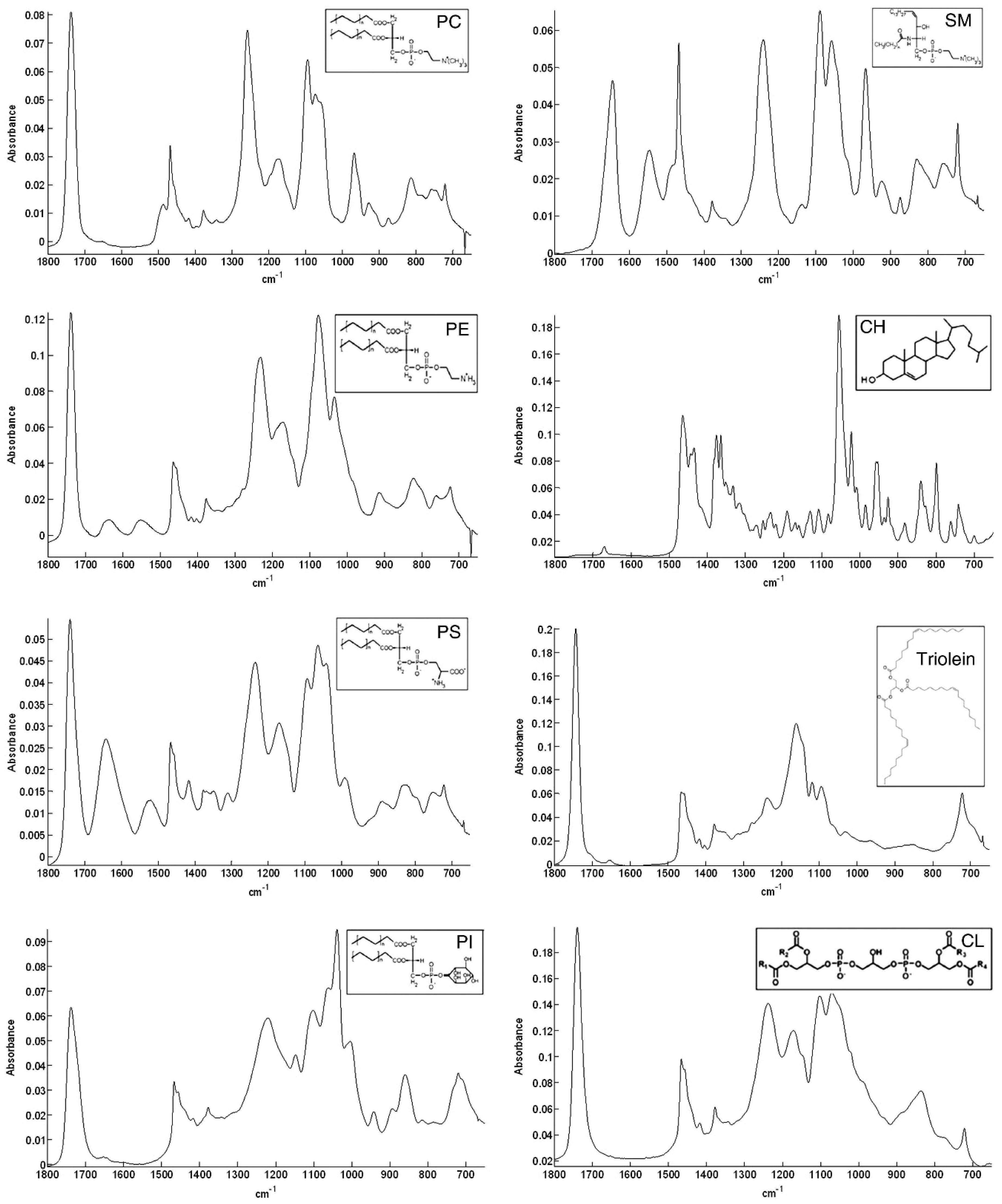 Biophysica 03 00011 g003