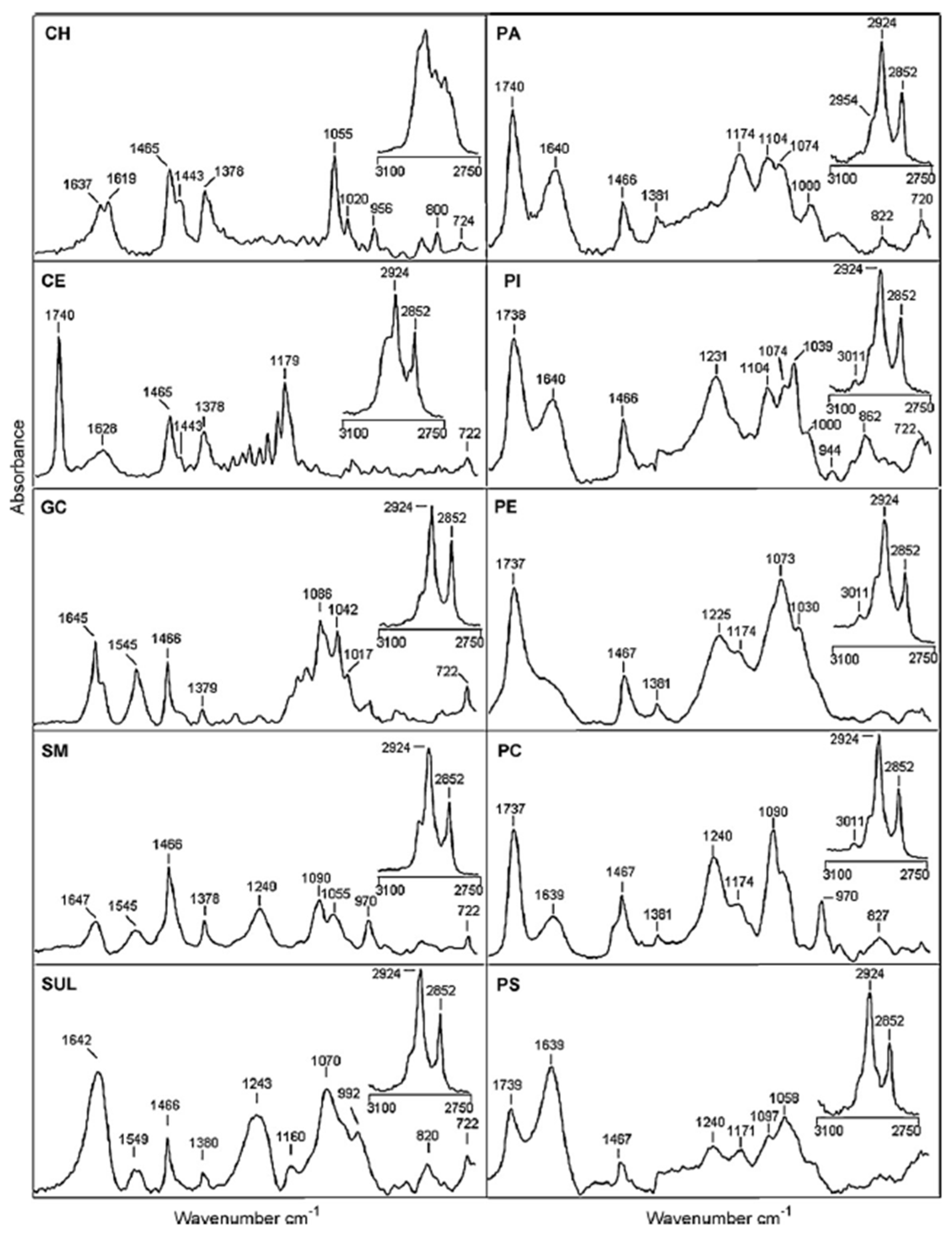 Biophysica 03 00011 g004