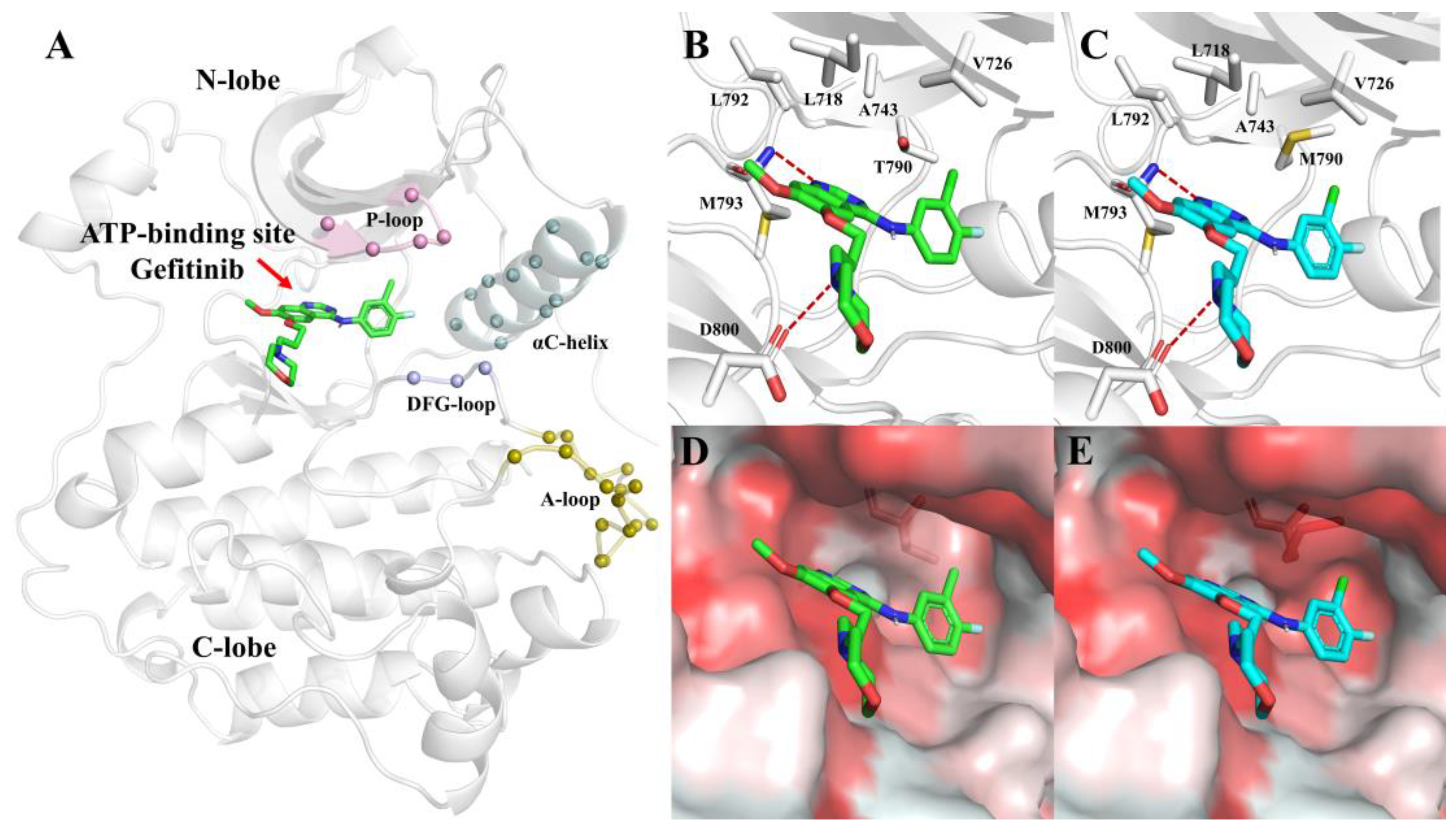 Biophysica 03 00013 g003