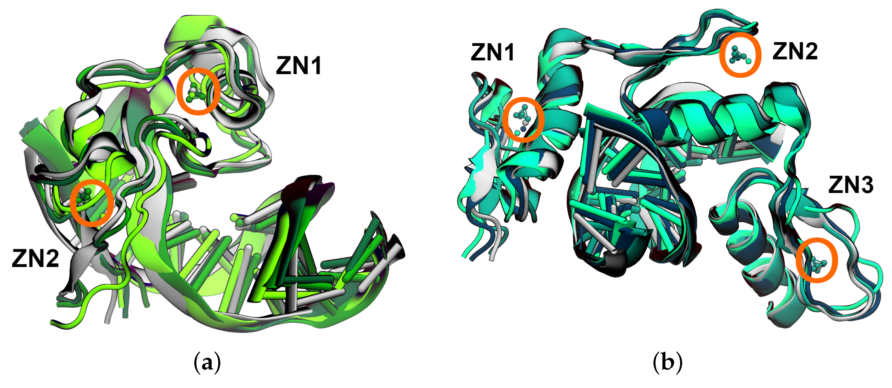 Biophysica 03 00014 g001 Biophysica 03 00014 g001