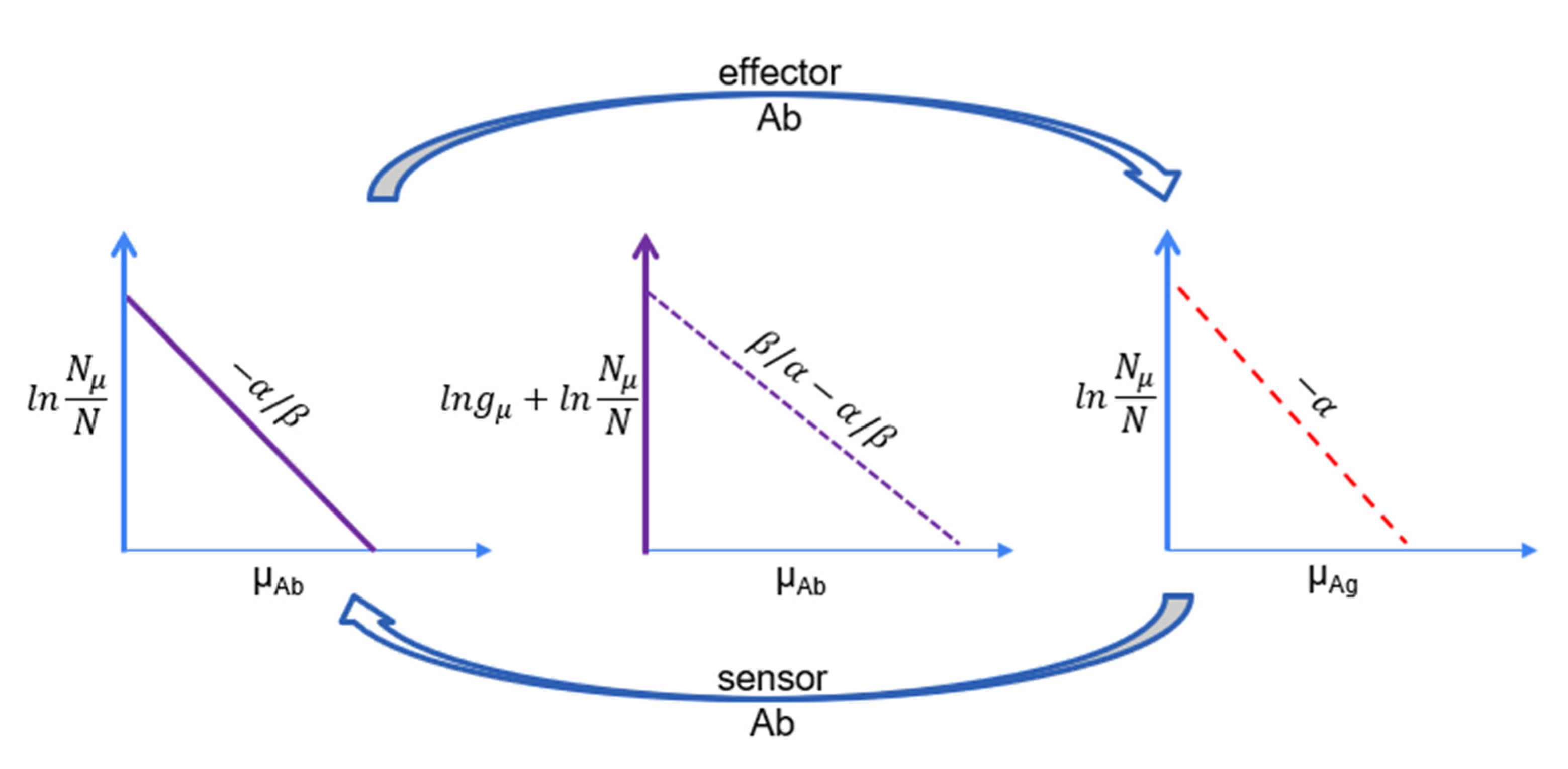 Biophysica 03 00015 g006