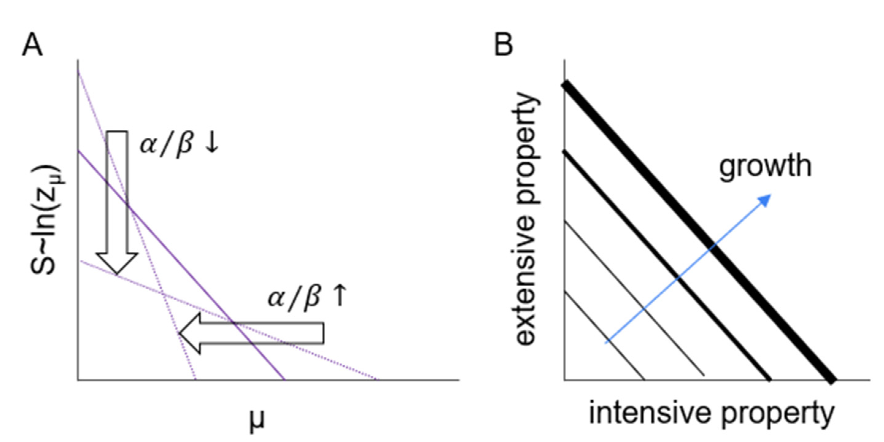 Biophysica 03 00015 g008