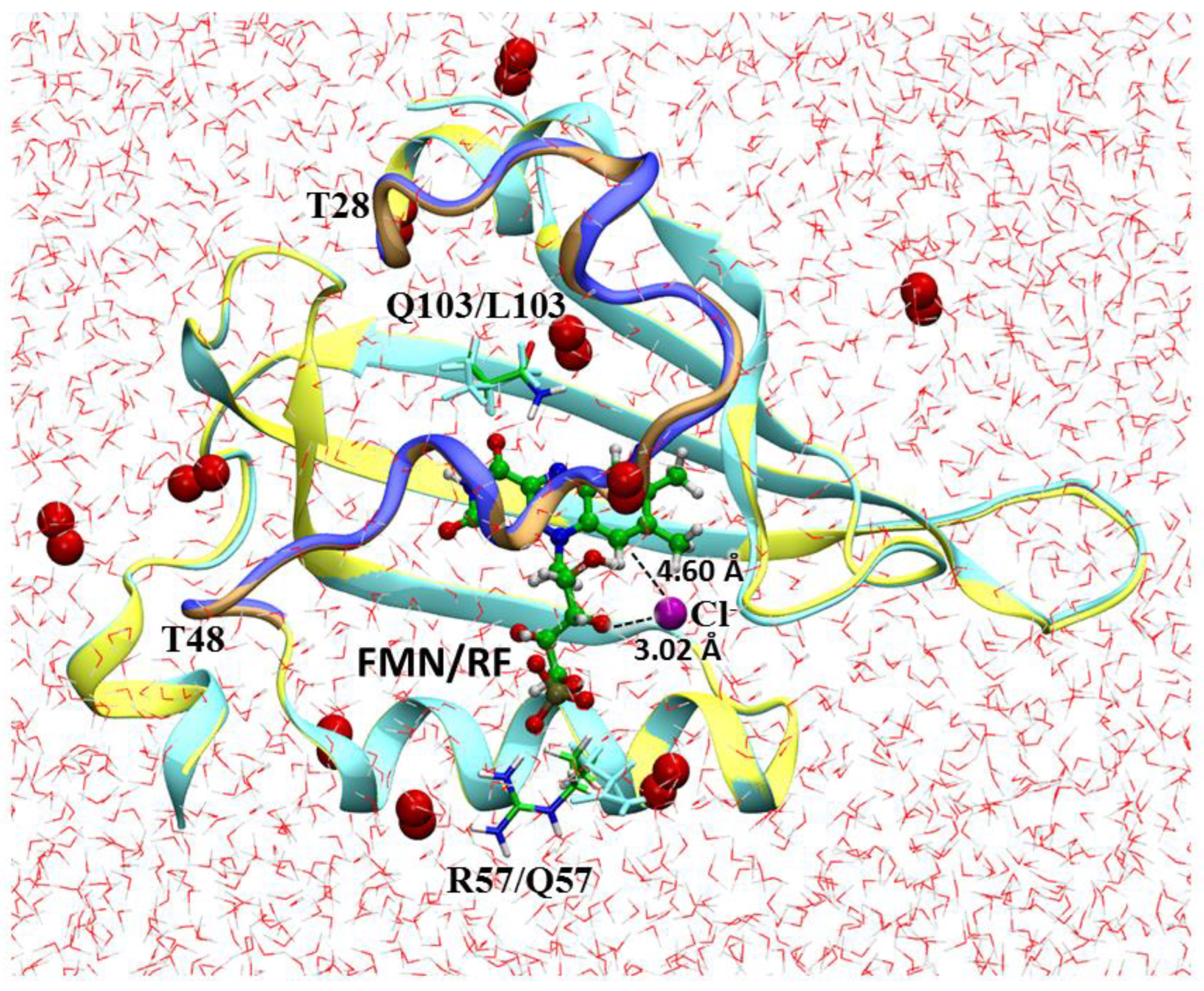 Biophysica 03 00016 g002 Biophysica 03 00016 g002