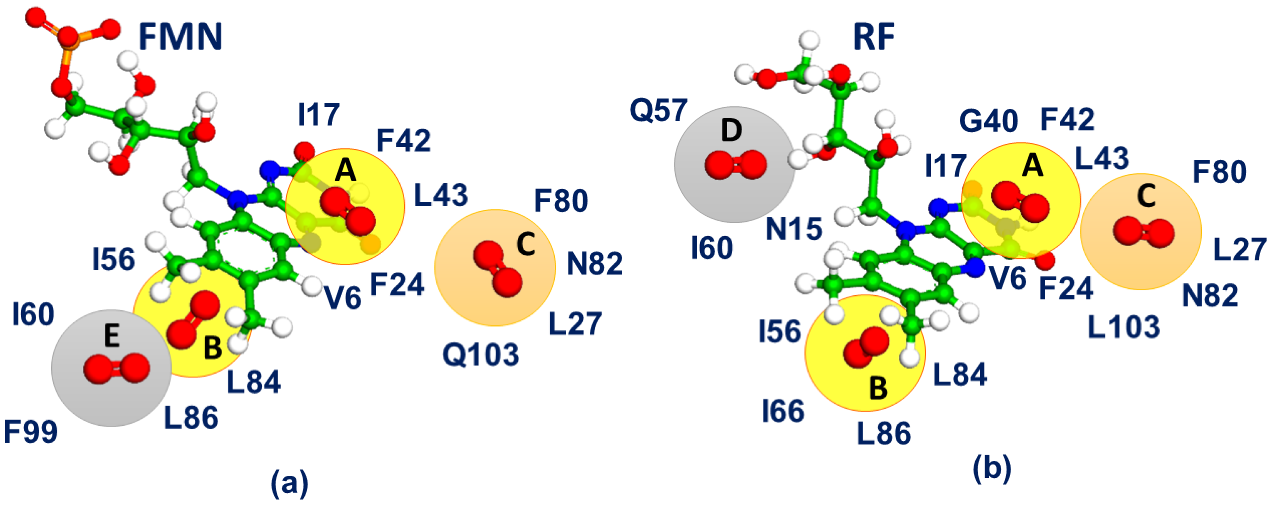Biophysica 03 00016 g003 Biophysica 03 00016 g003