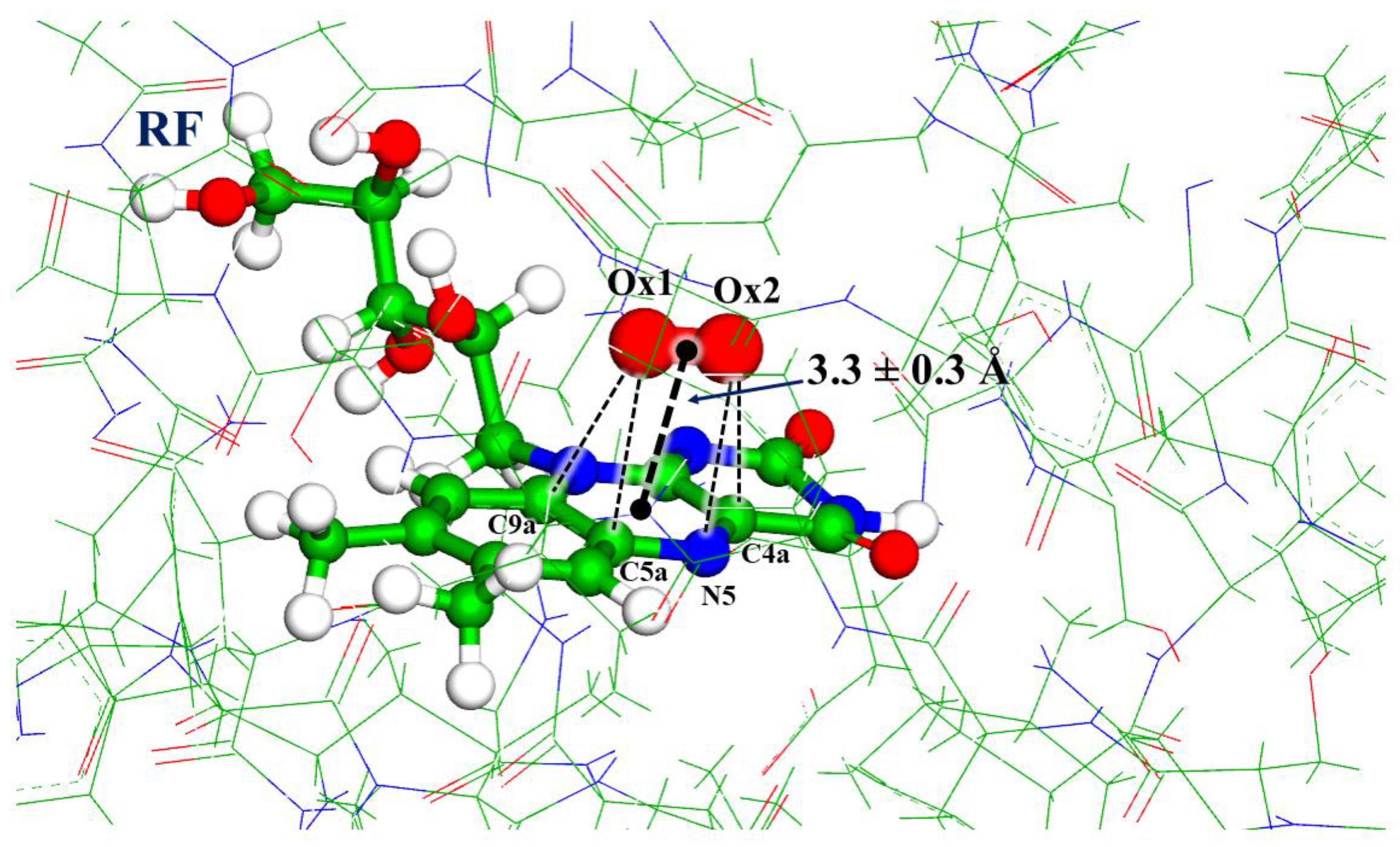 Biophysica 03 00016 g008 Biophysica 03 00016 g008