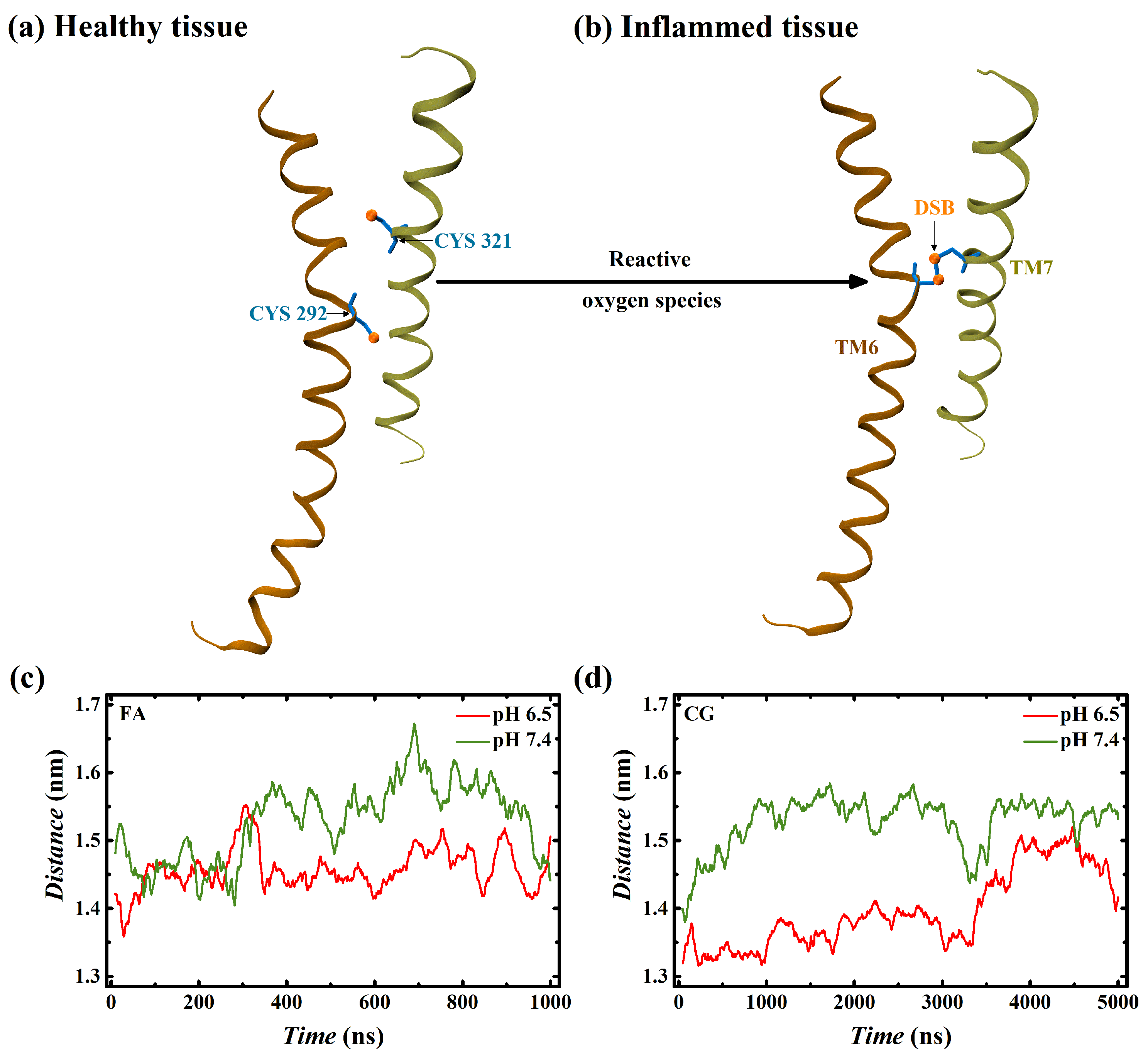 Biophysica 03 00017 g002 Biophysica 03 00017 g002