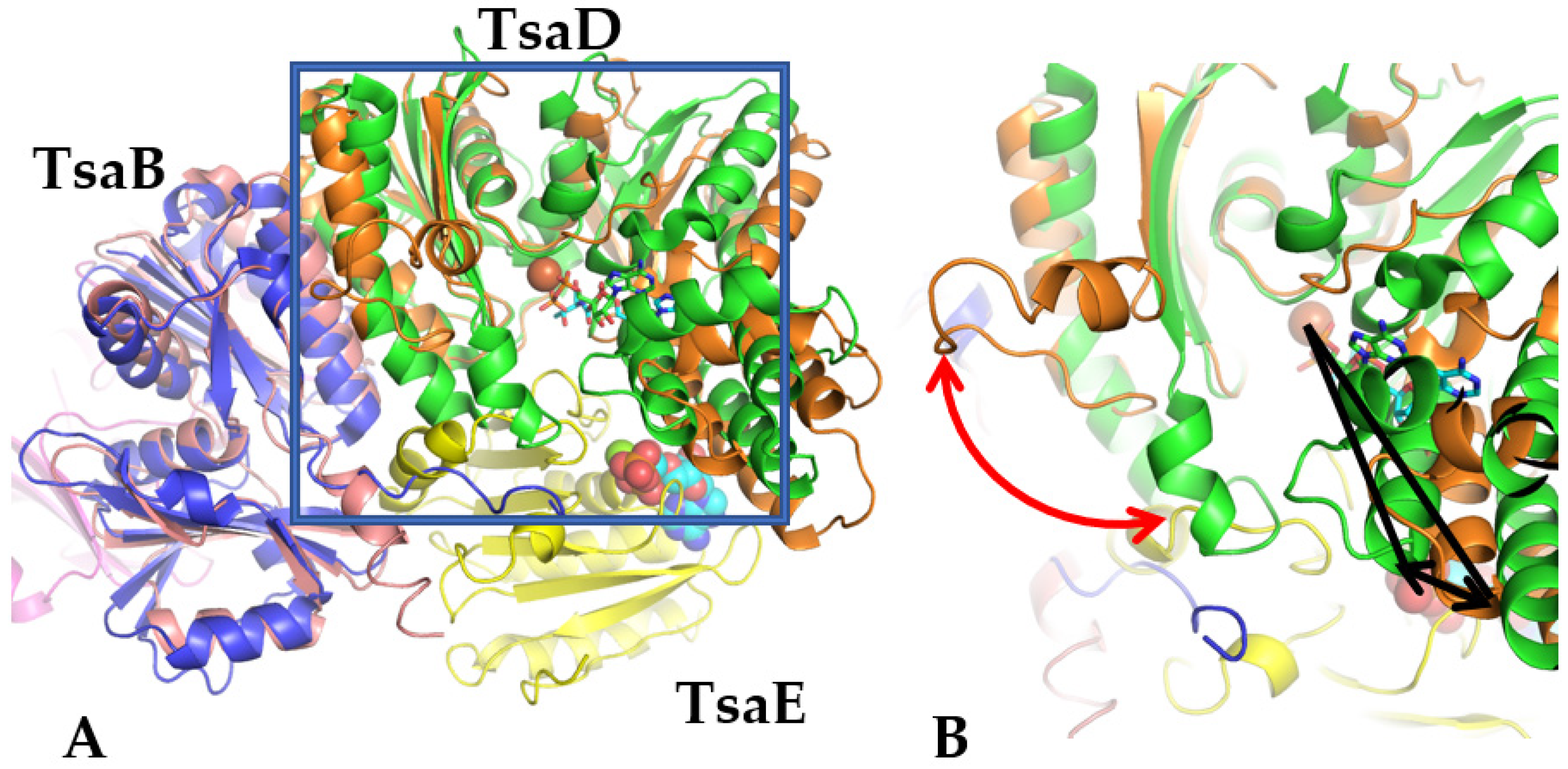Biophysica 03 00019 g002