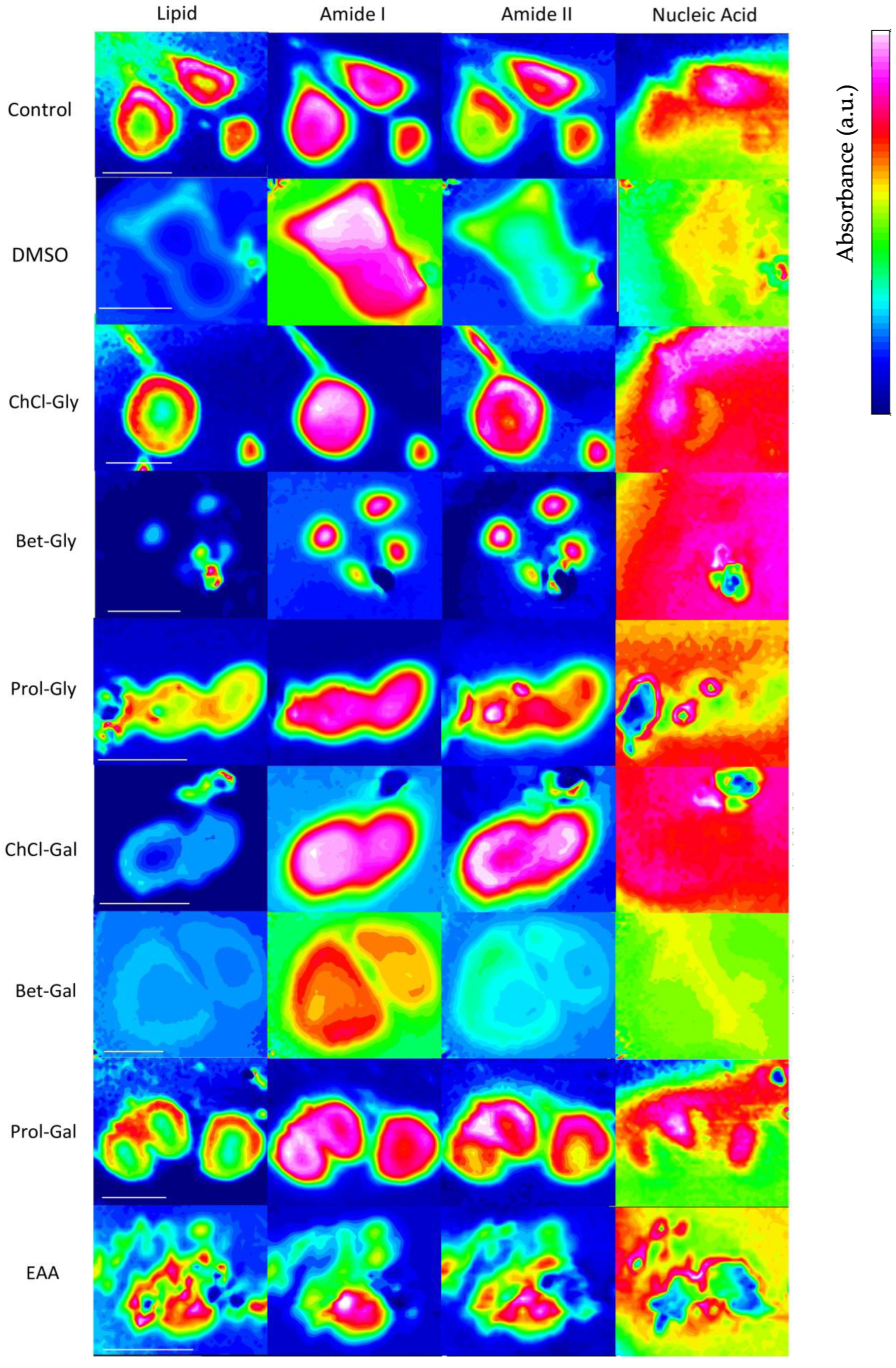 Biophysica 03 00021 g004 Biophysica 03 00021 g004