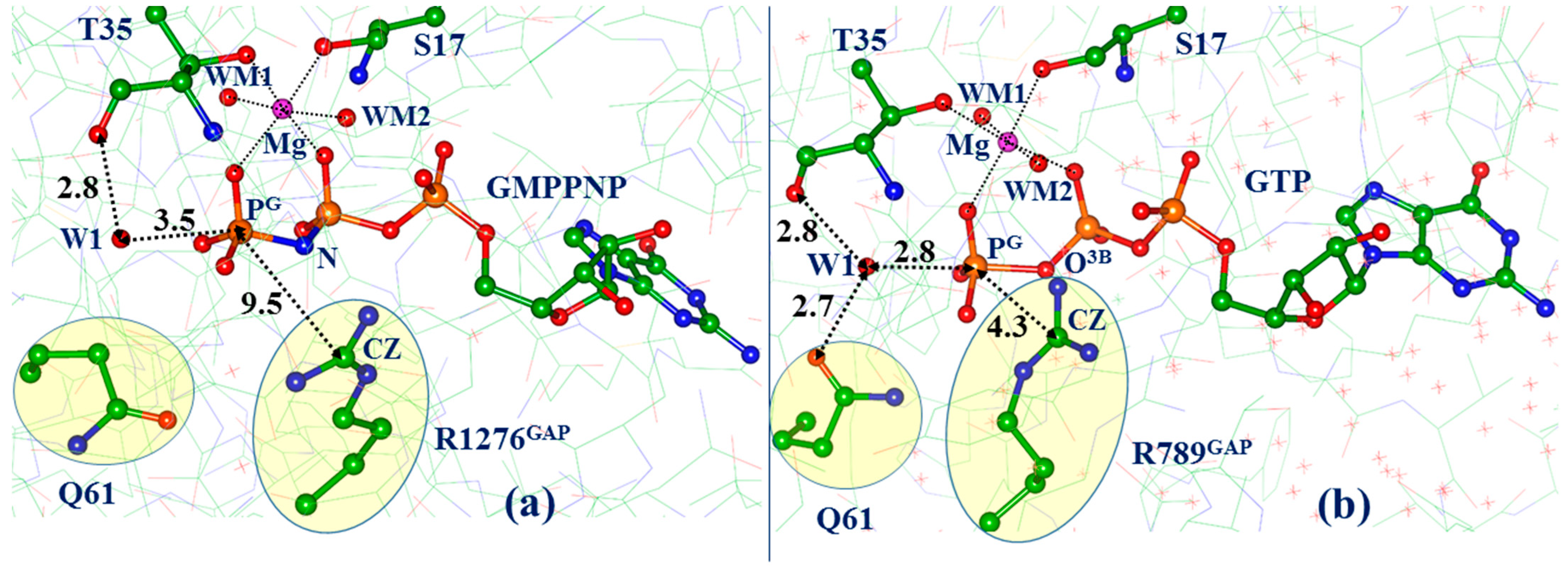 Biophysica 03 00025 g001 Biophysica 03 00025 g001
