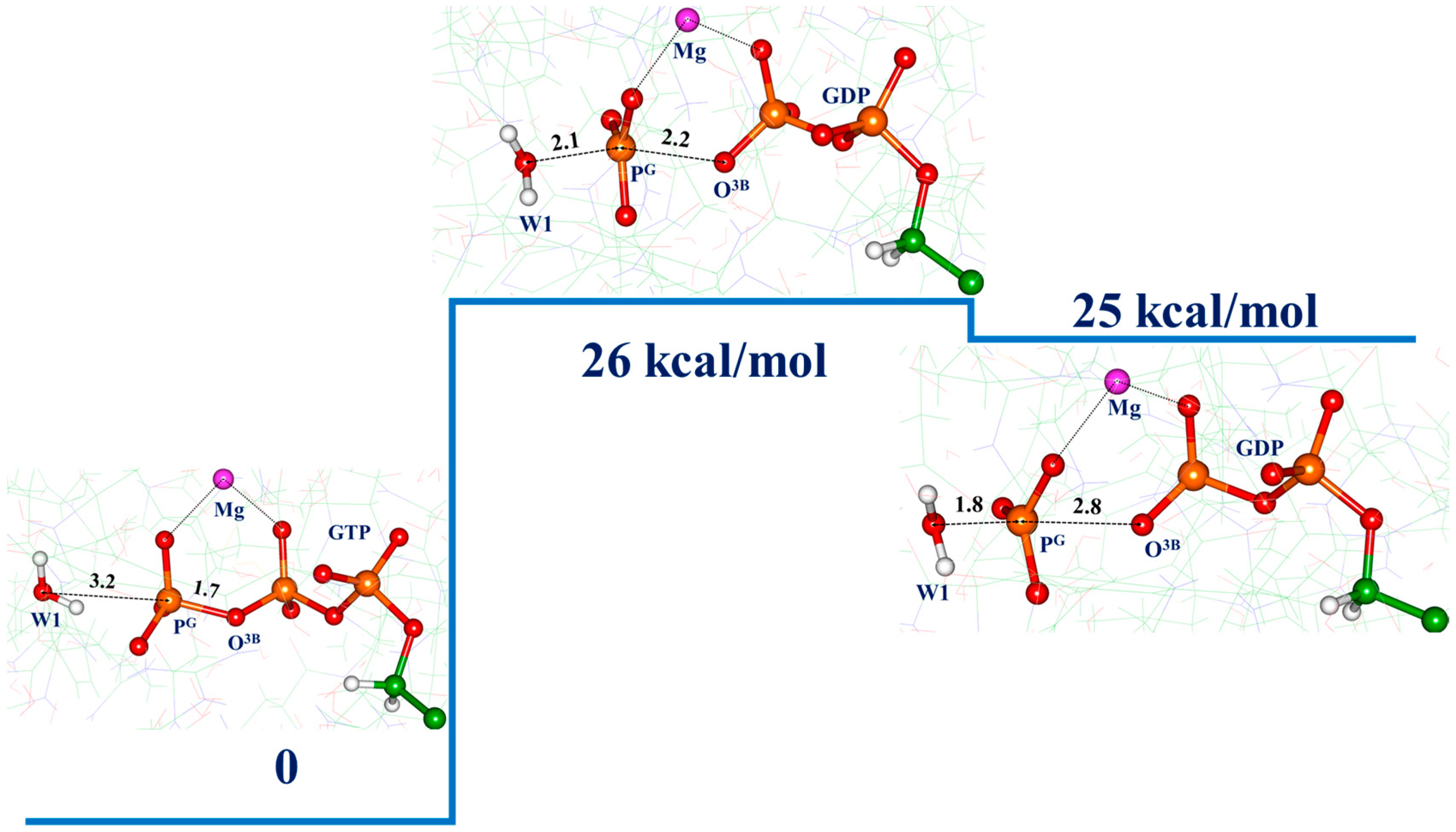 Biophysica 03 00025 g003 Biophysica 03 00025 g003