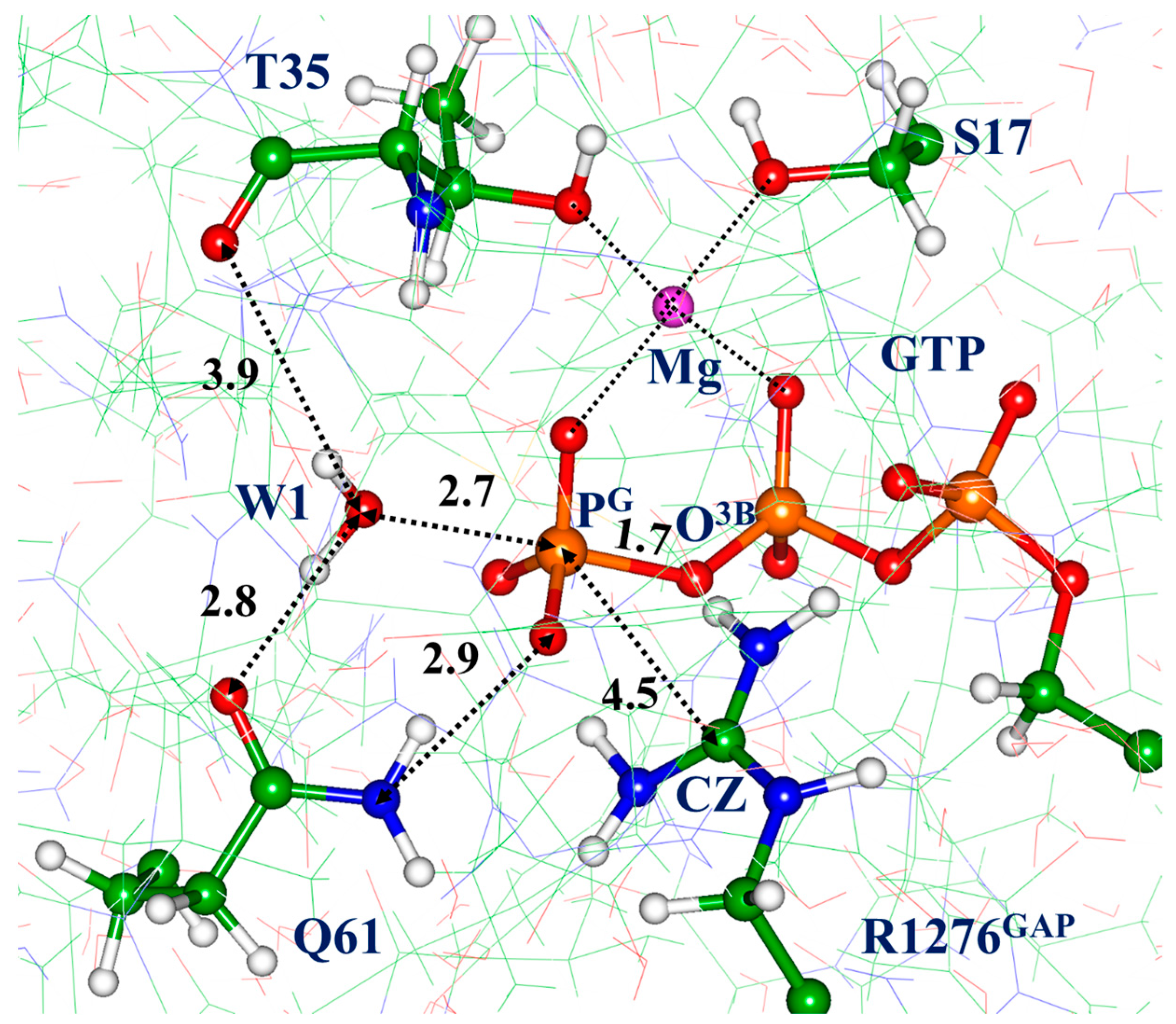 Biophysica 03 00025 g004 Biophysica 03 00025 g004