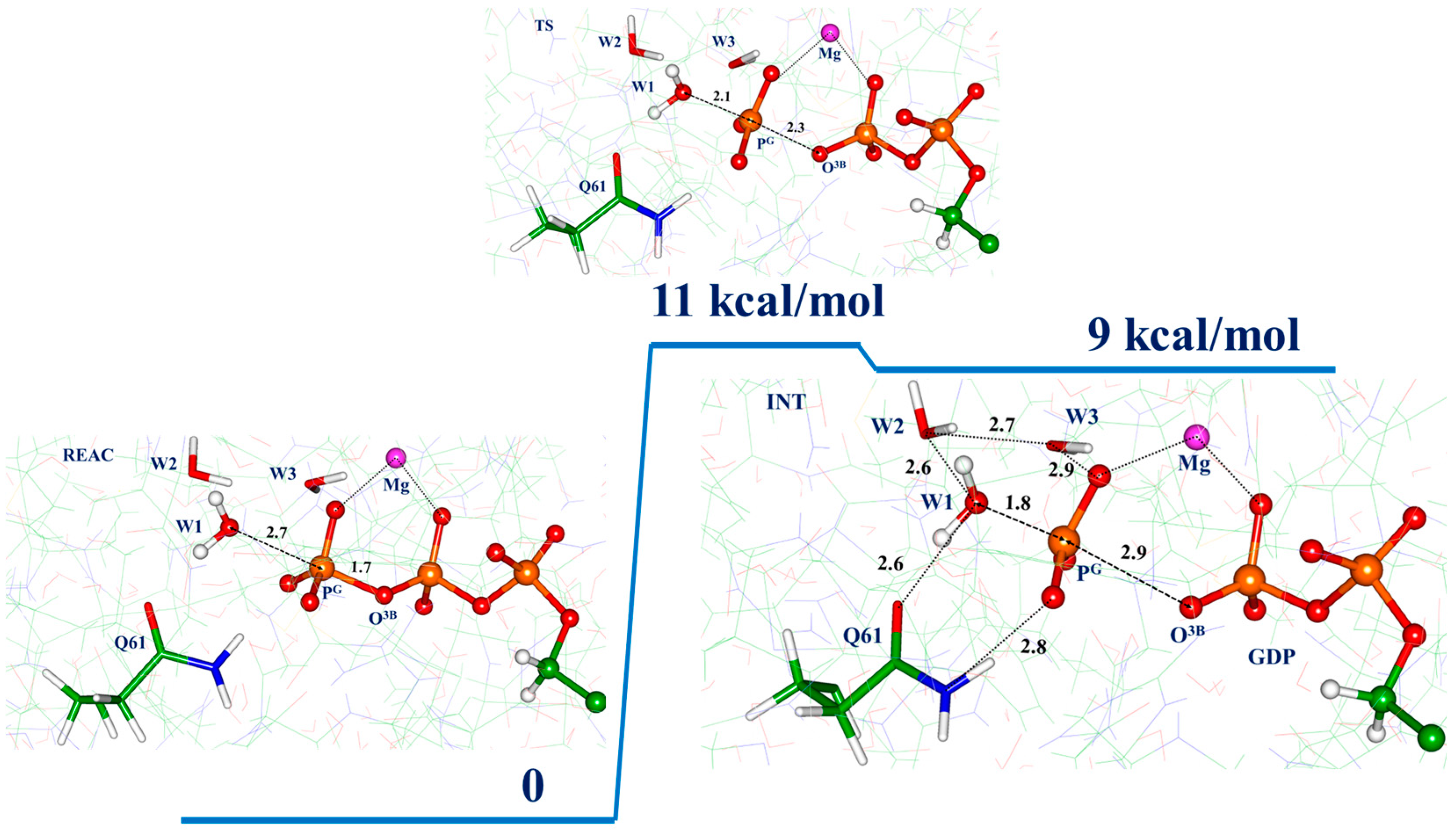 Biophysica 03 00025 g005 Biophysica 03 00025 g005