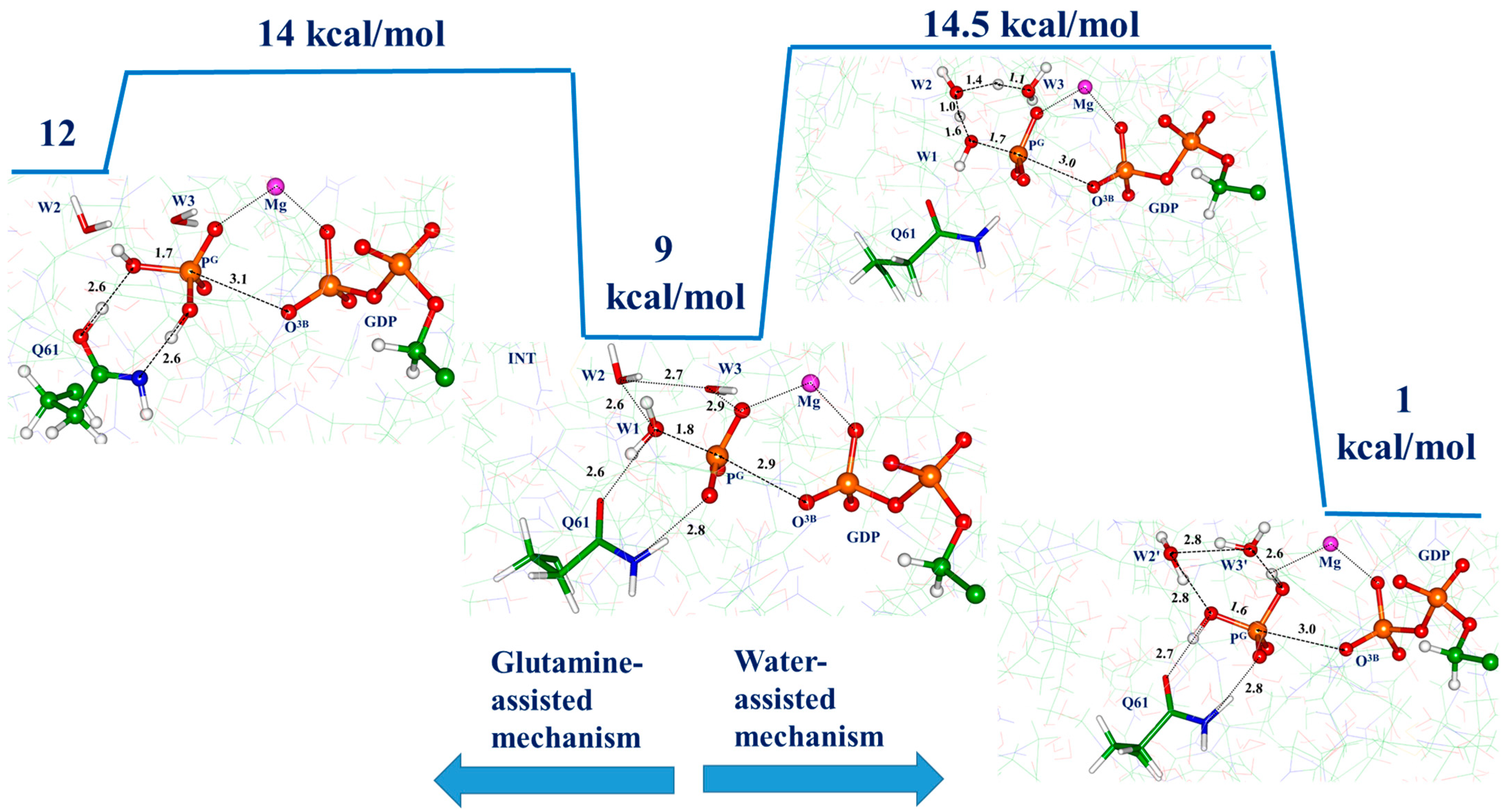 Biophysica 03 00025 g006 Biophysica 03 00025 g006