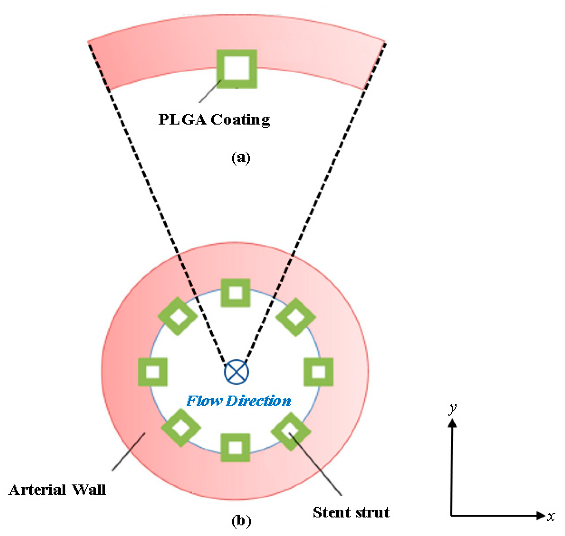 Biophysica 03 00026 g001