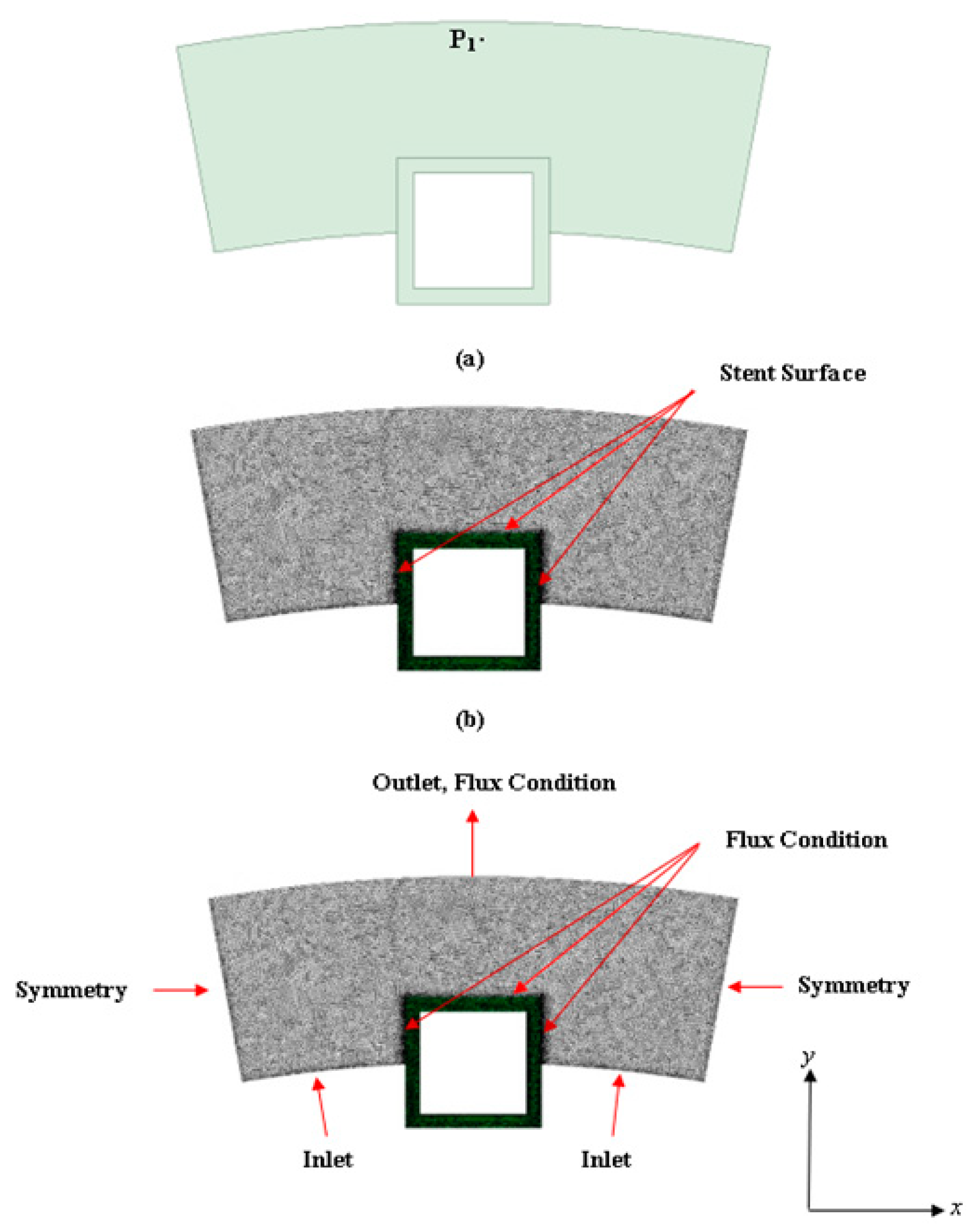 Biophysica 03 00026 g002
