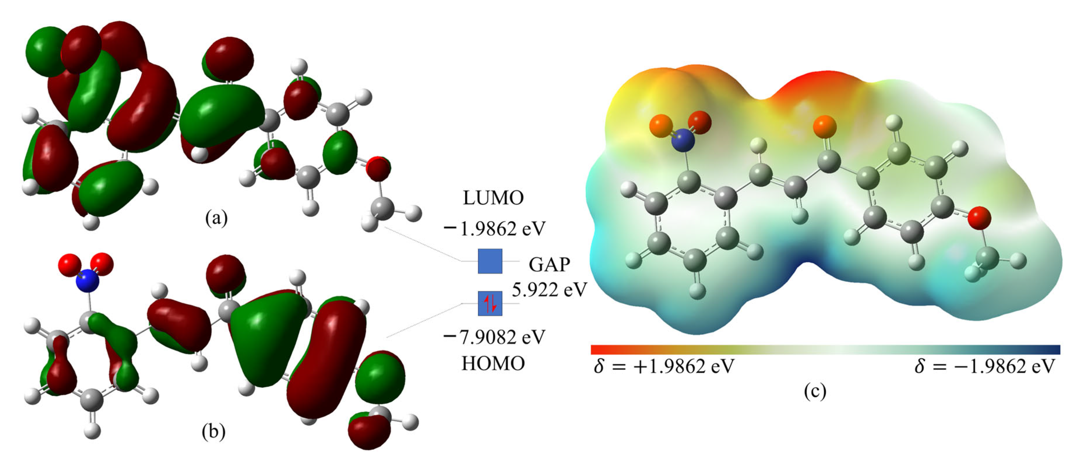 Biophysica 03 00029 g006