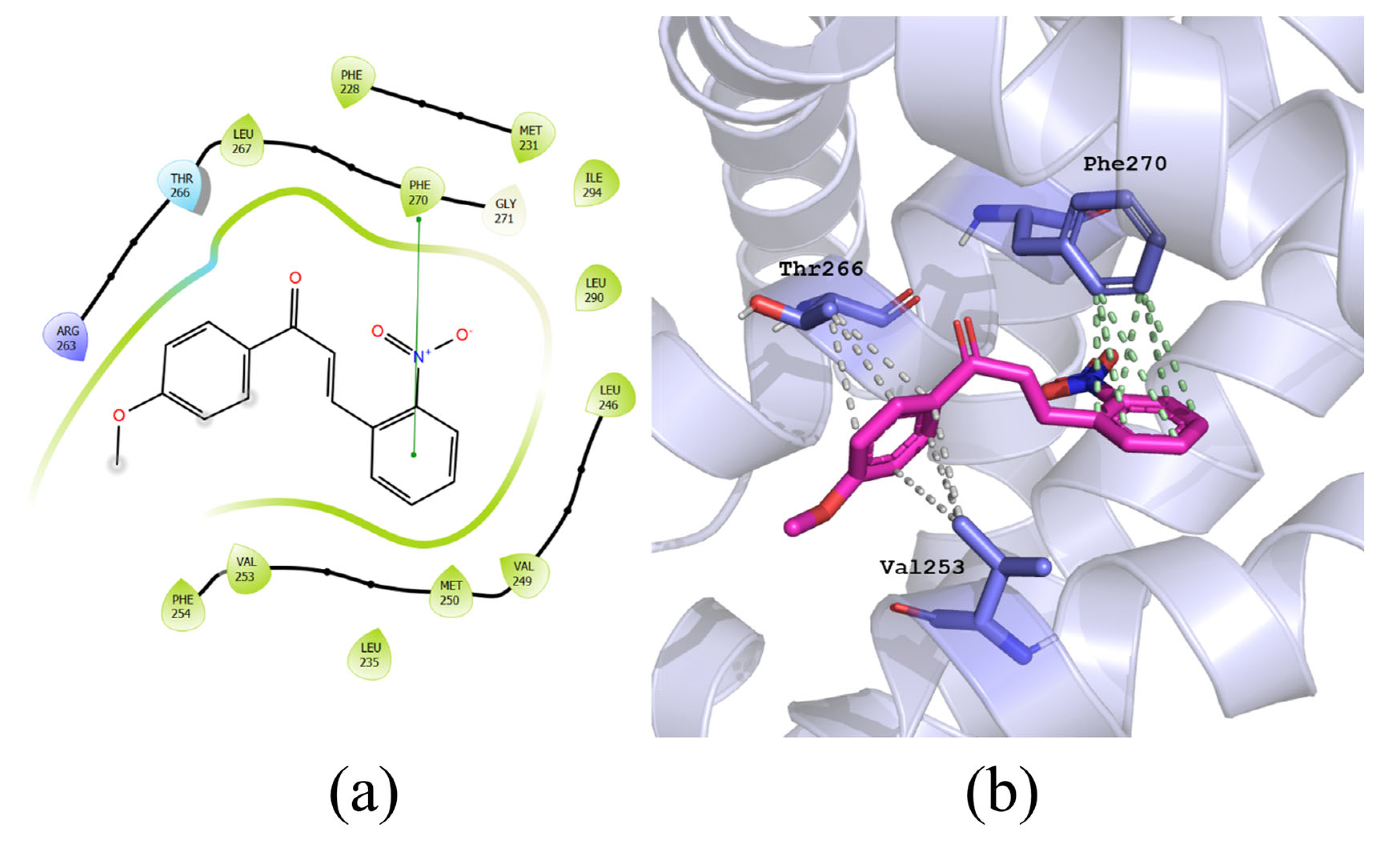 Biophysica 03 00029 g007
