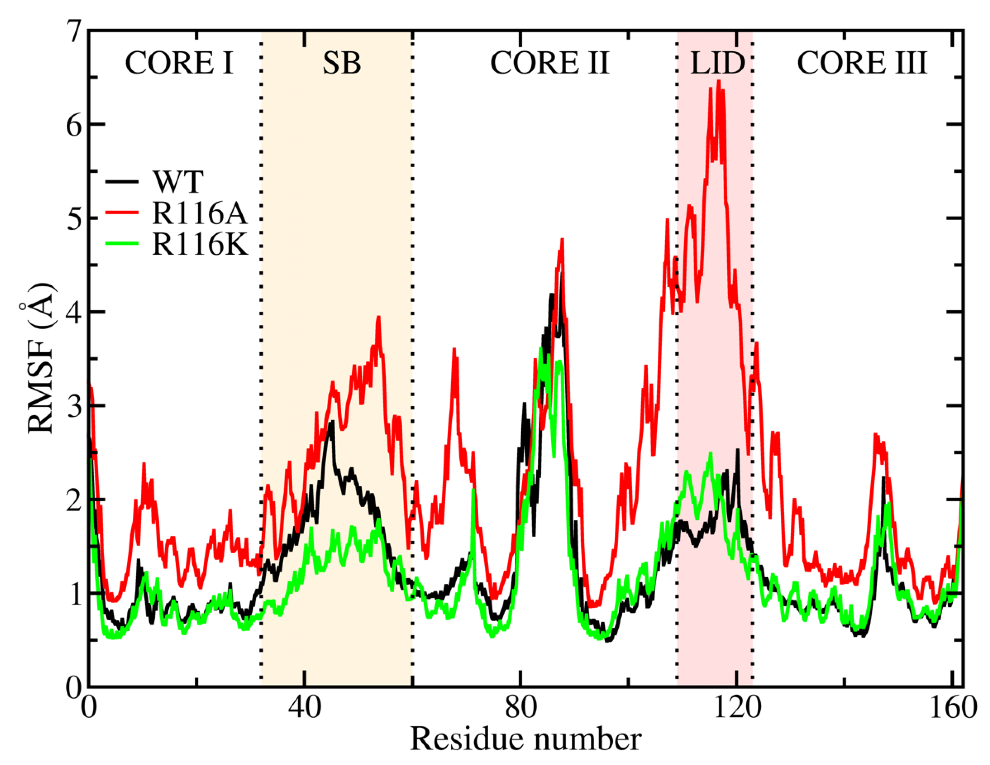 Biophysica 03 00030 g003