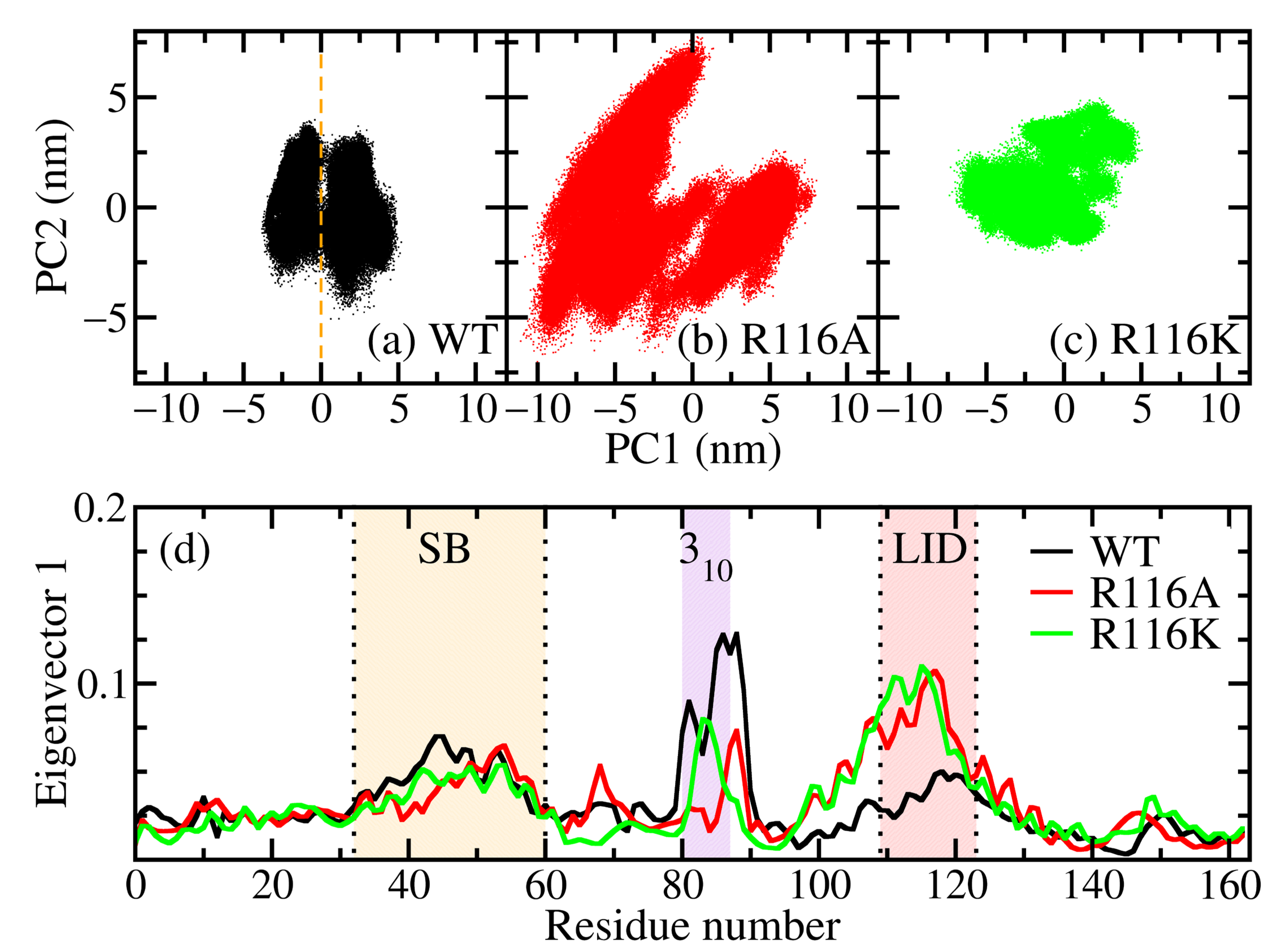 Biophysica 03 00030 g004
