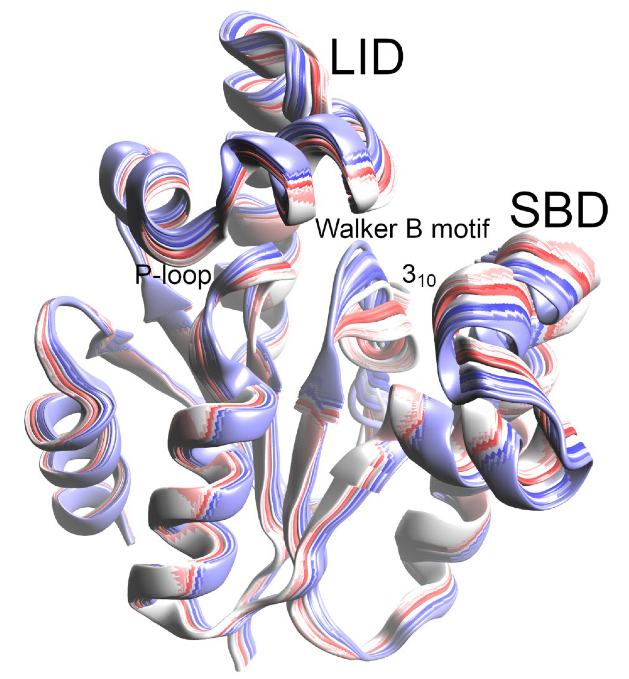 Biophysica 03 00030 g005