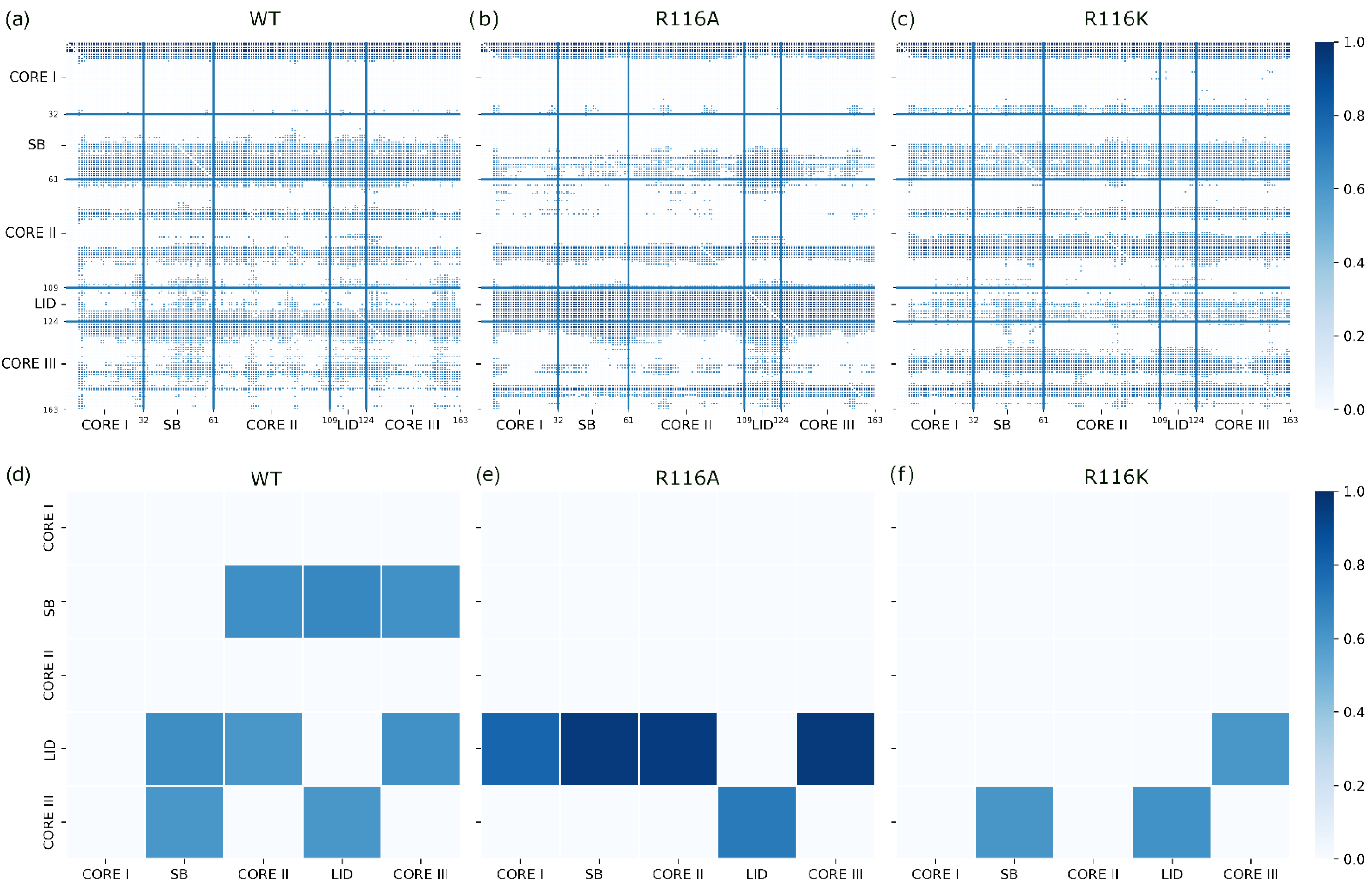 Biophysica 03 00030 g006