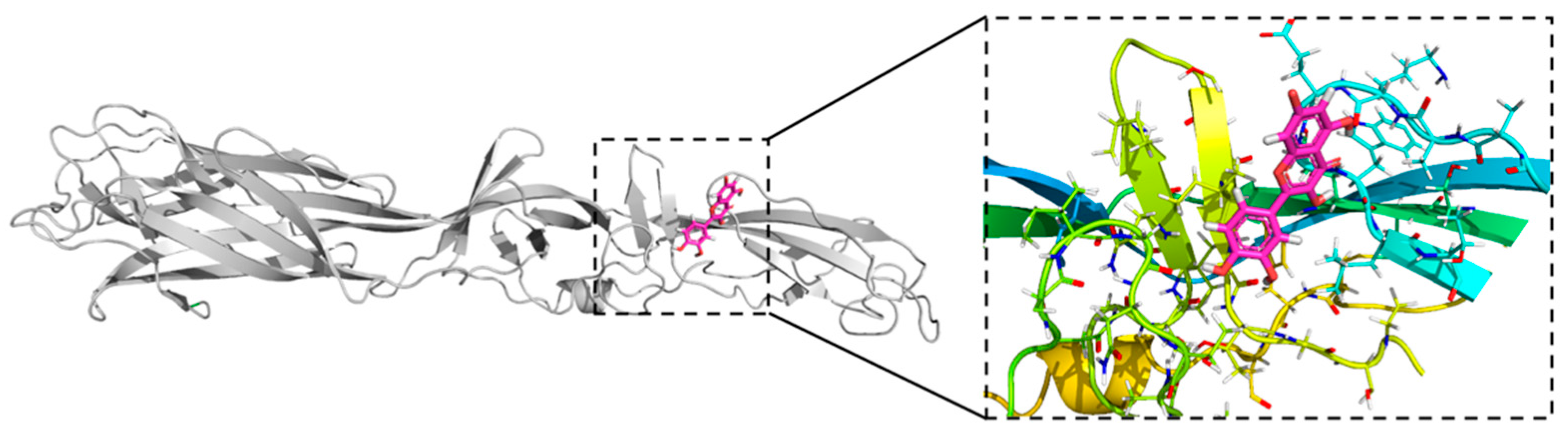 Biophysica 03 00032 g003 Biophysica 03 00032 g003