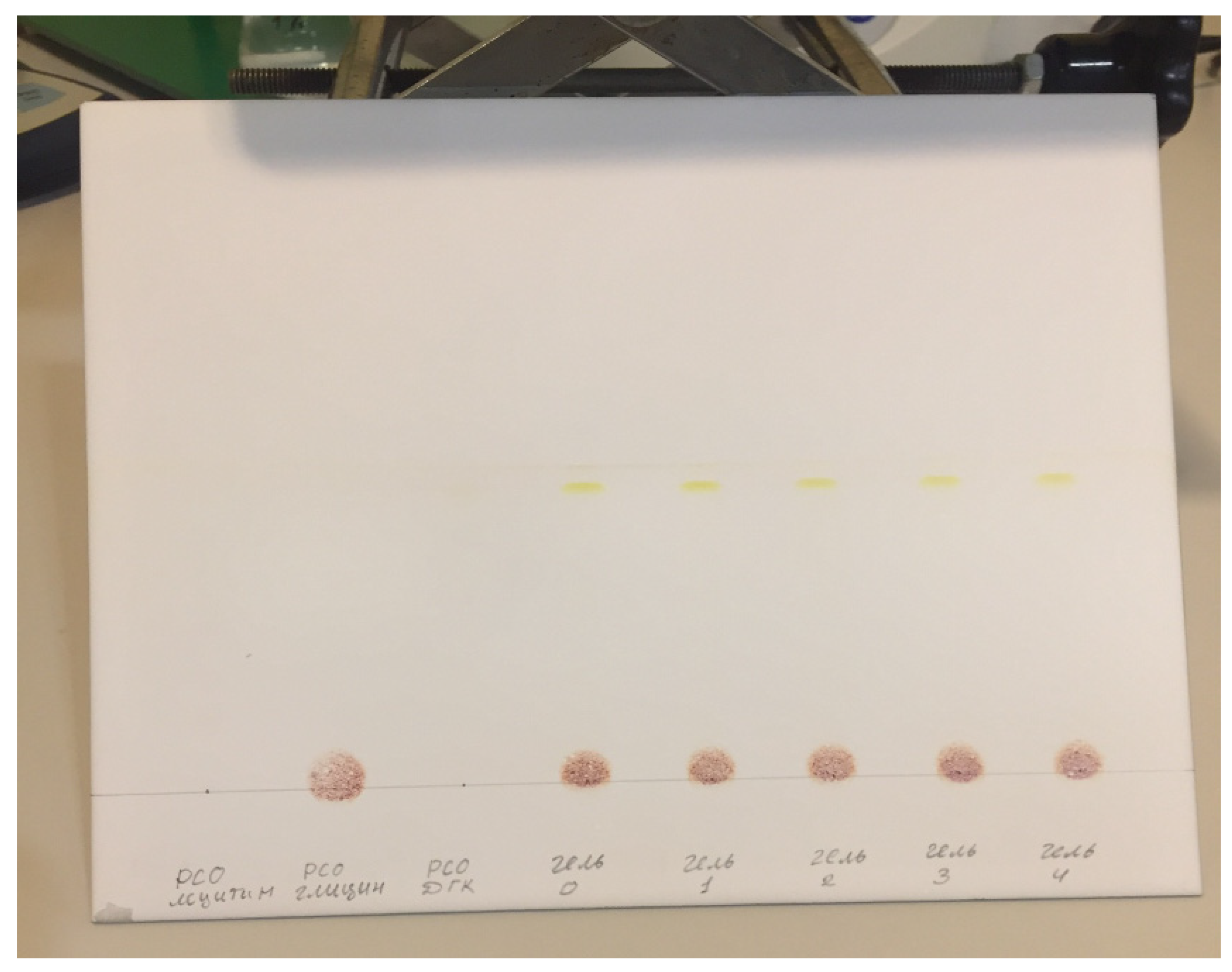 Biophysica 03 00034 g0a2