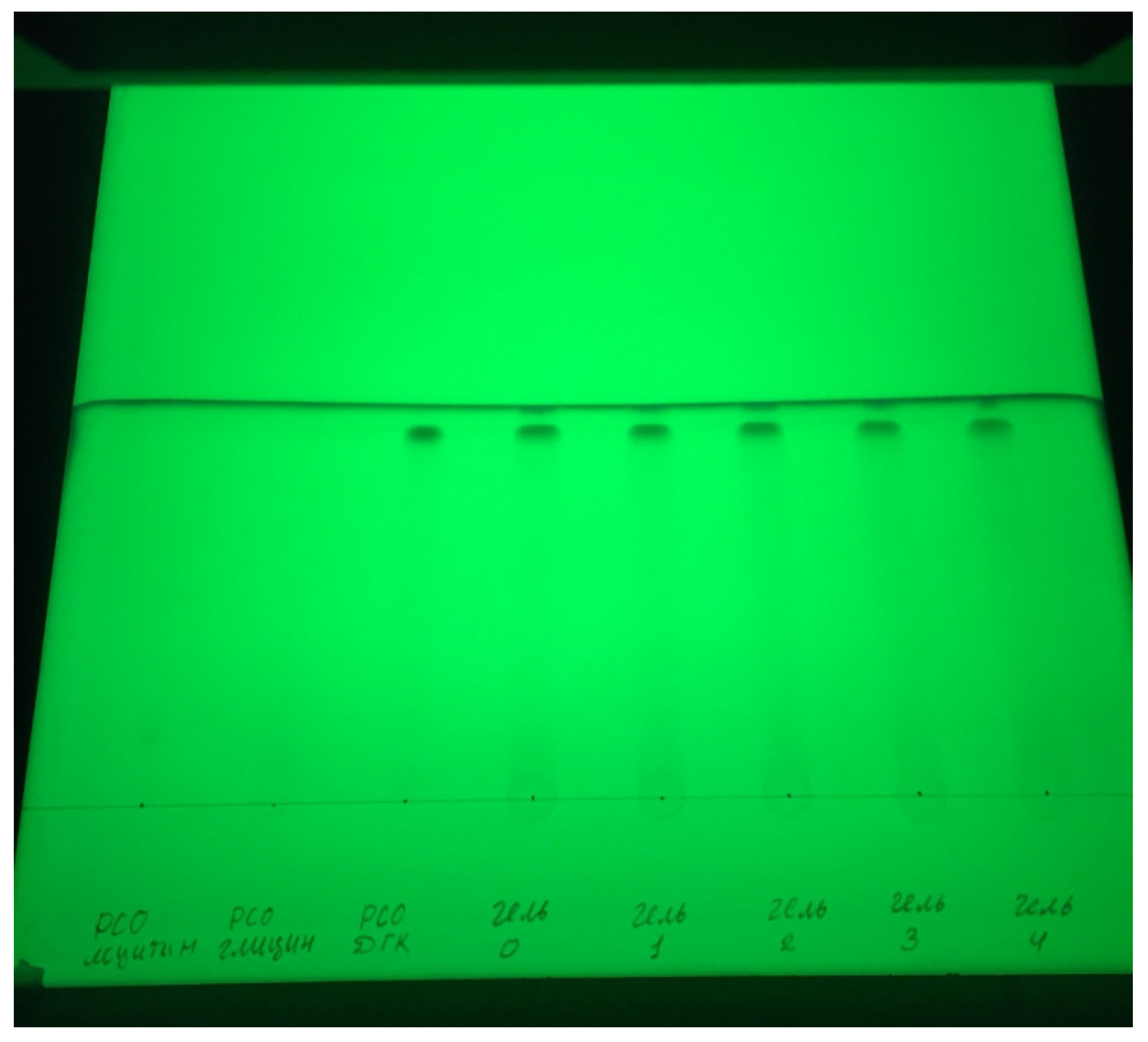 Biophysica 03 00034 g0a3