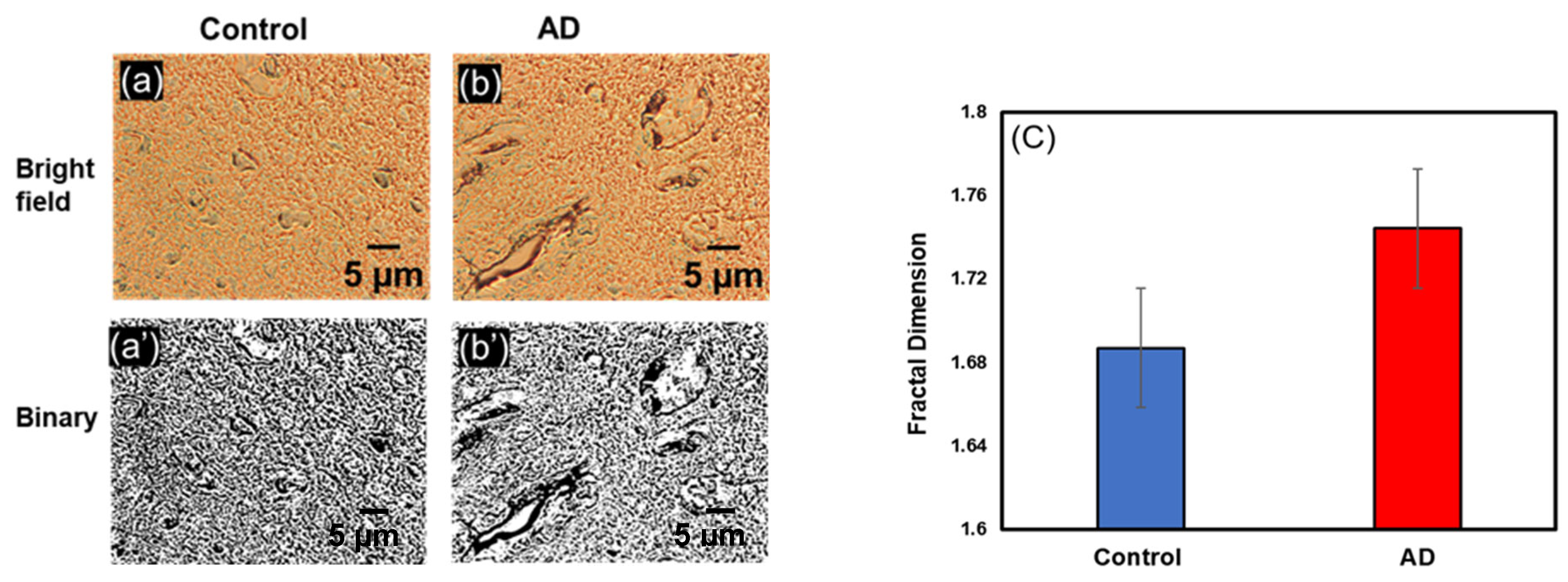 Biophysica 03 00039 g002