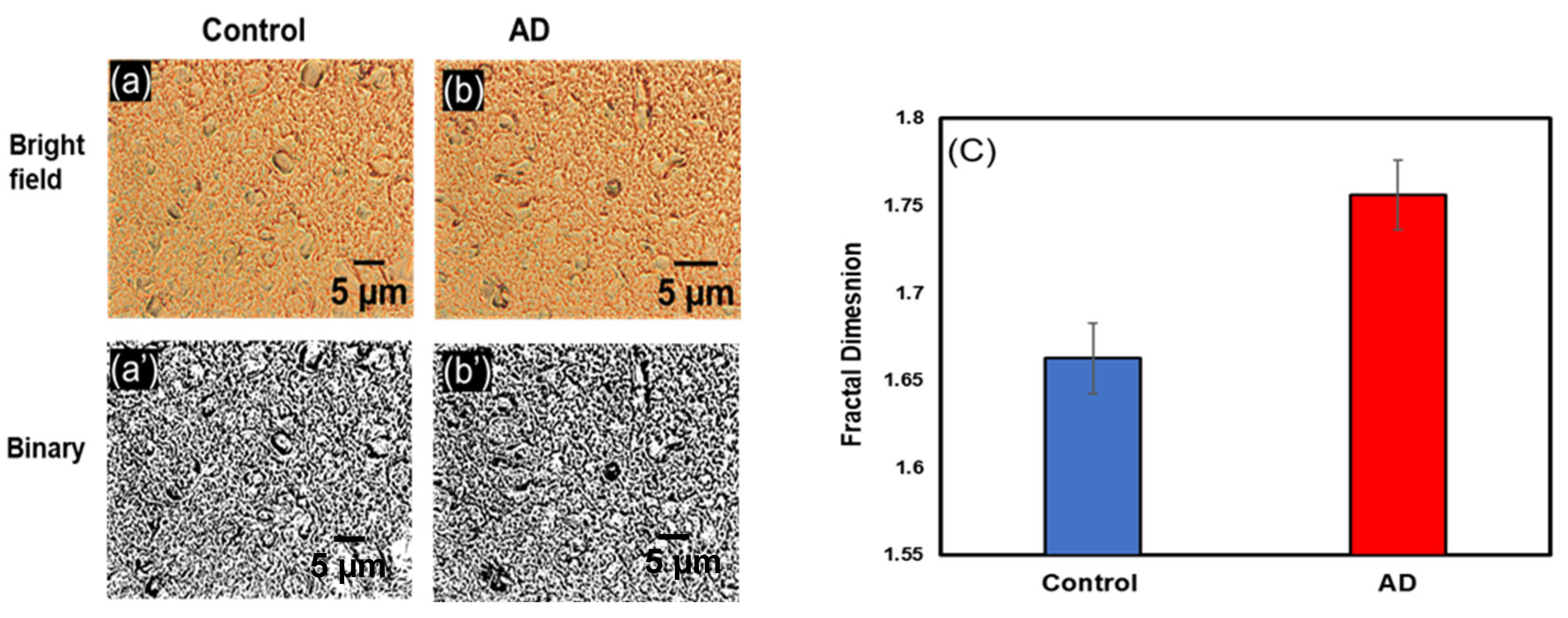 Biophysica 03 00039 g003