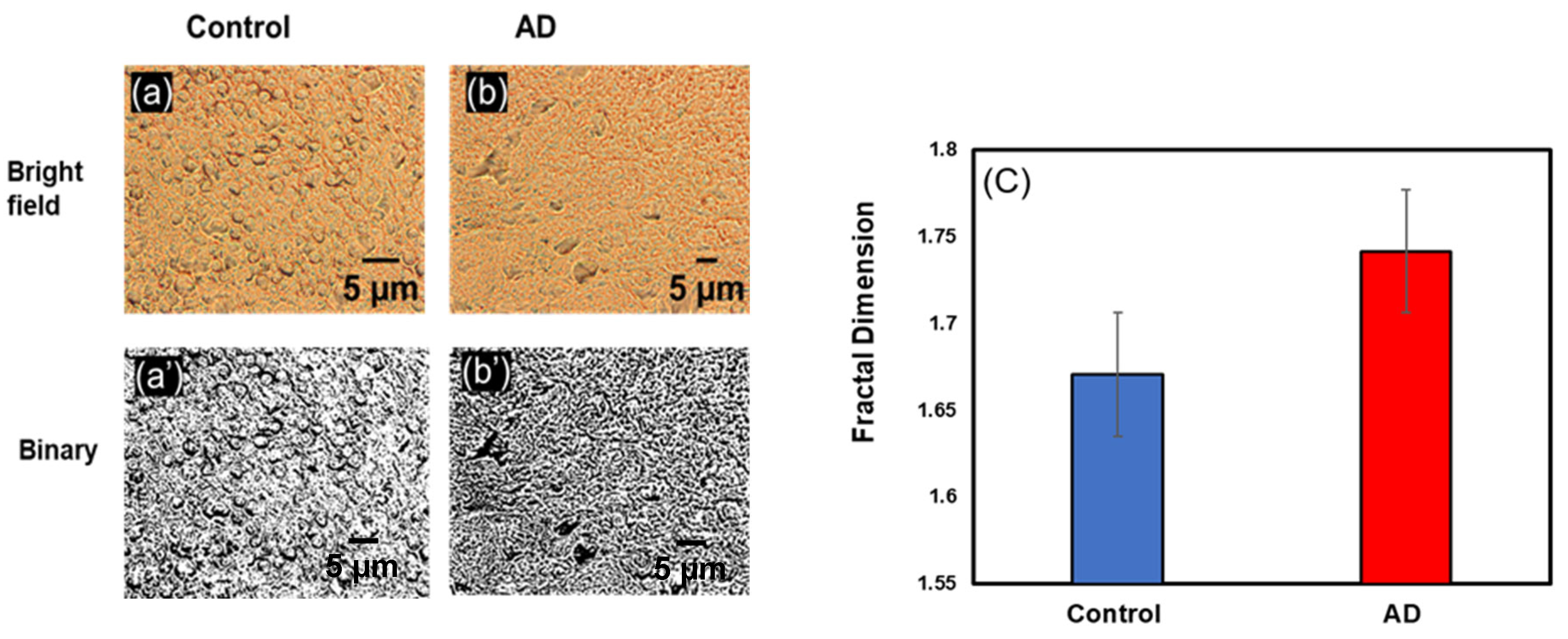 Biophysica 03 00039 g005