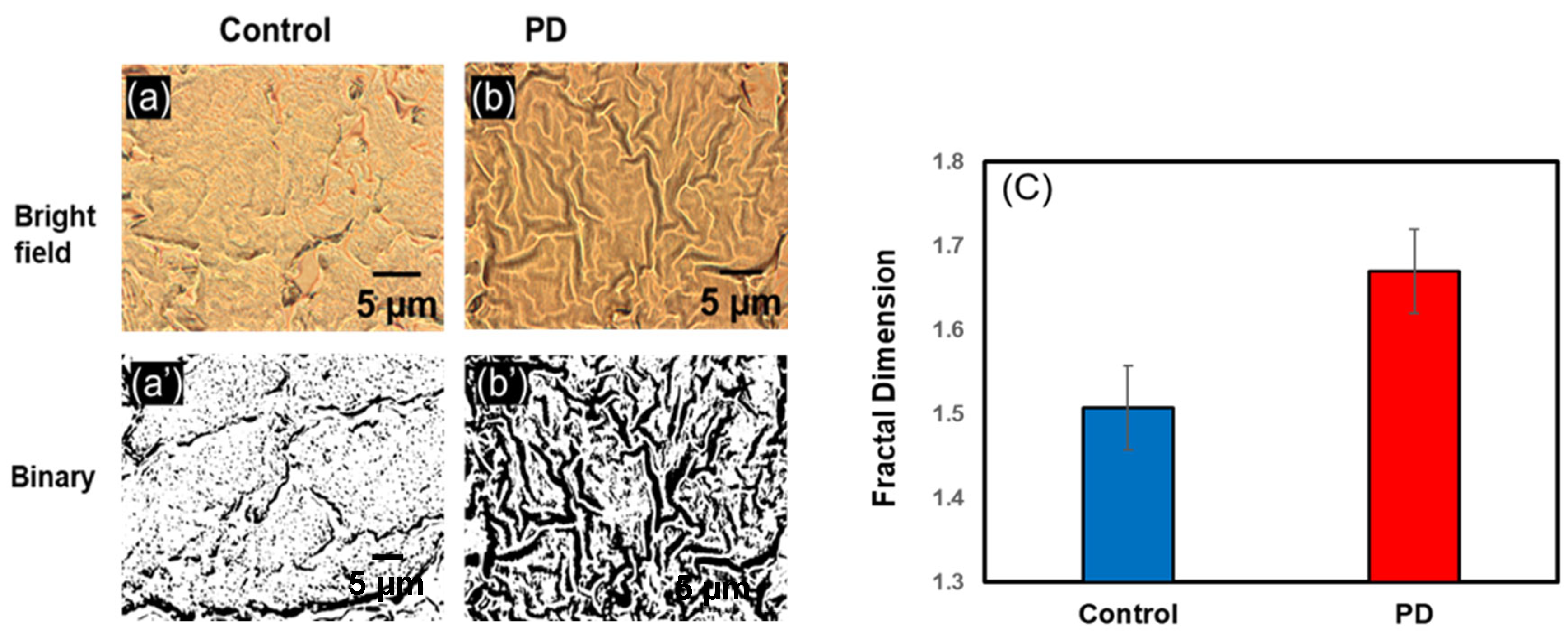 Biophysica 03 00039 g006