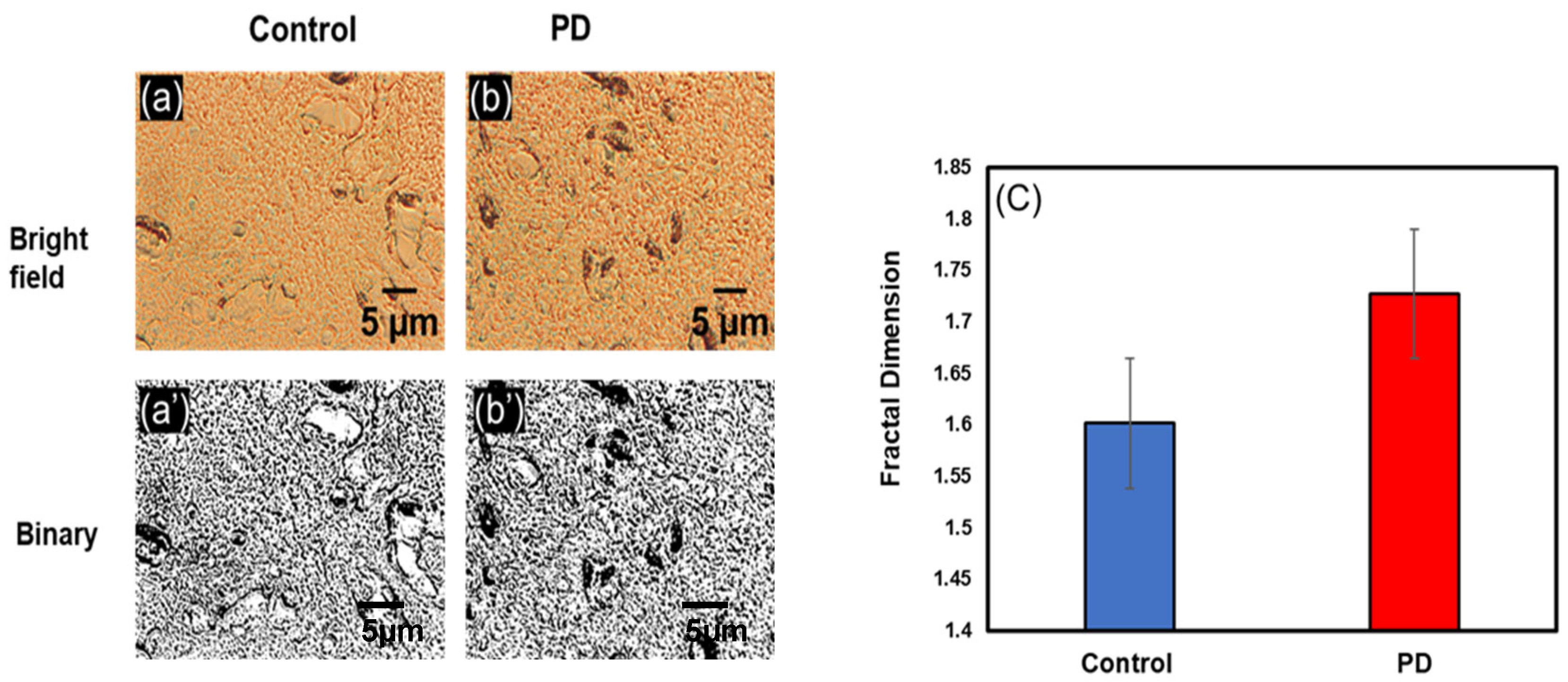 Biophysica 03 00039 g007