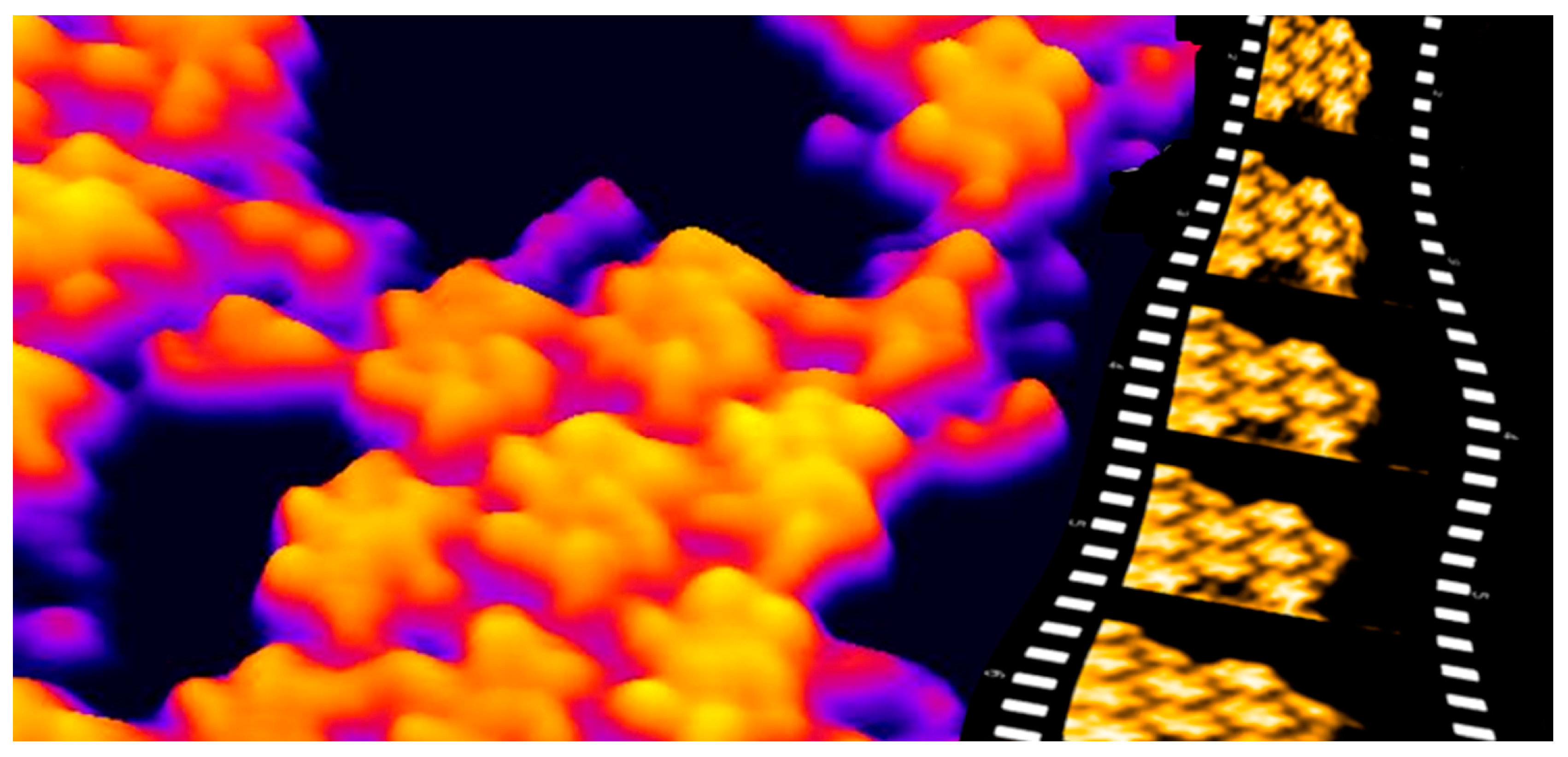 Biophysica 03 00041 g003