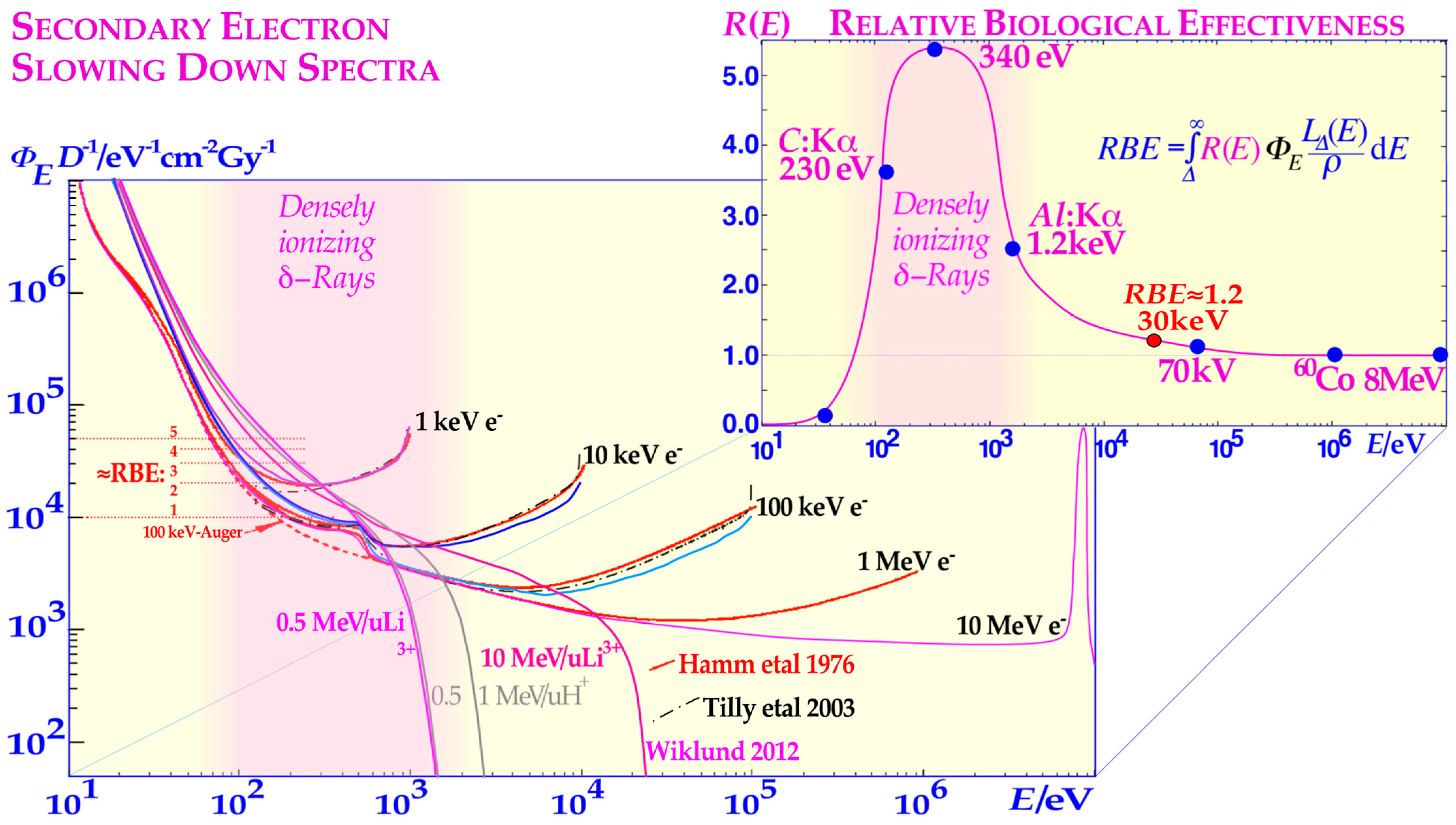Biophysica 03 00045 g001